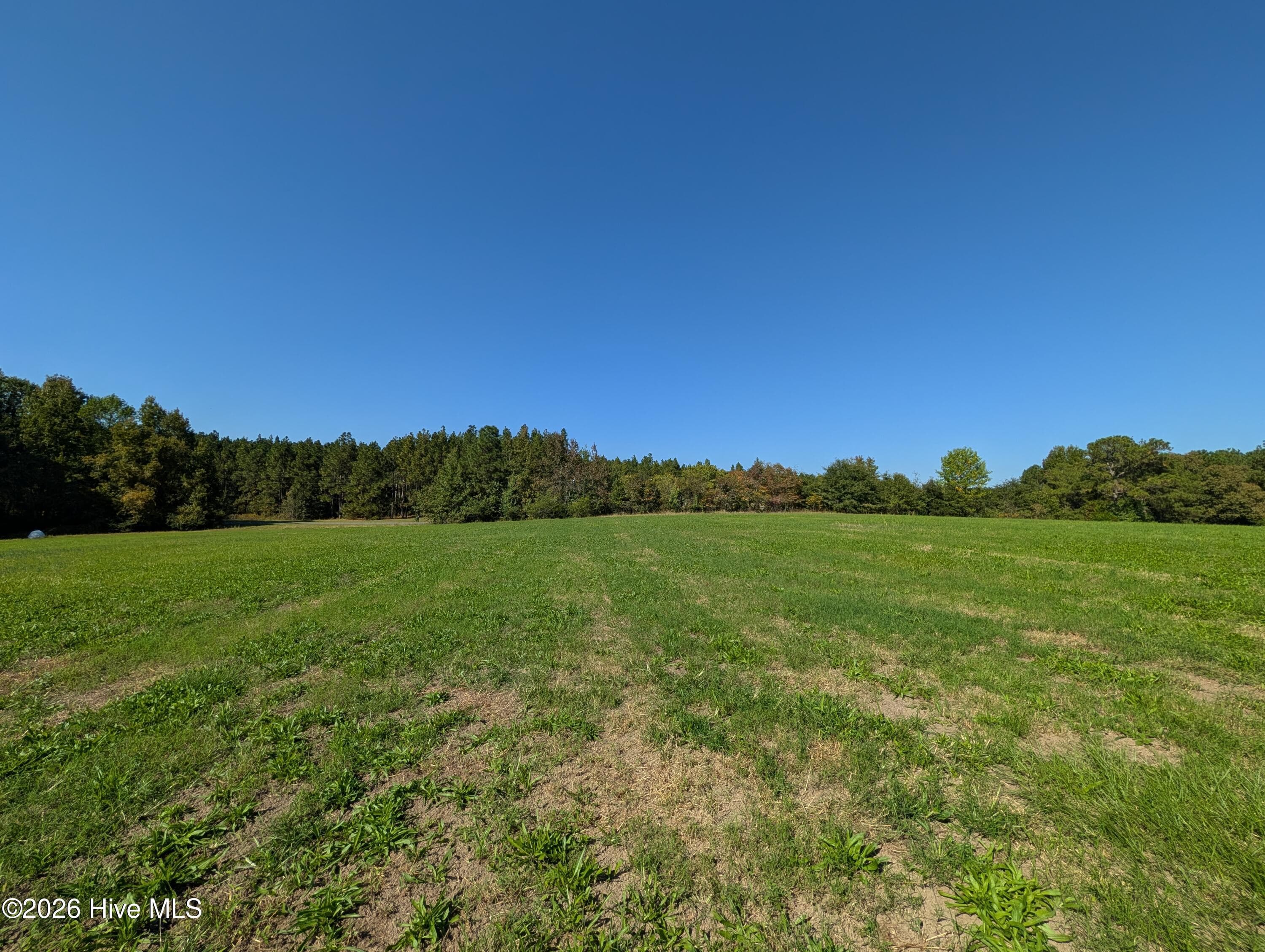 Undeveloped at Tbd County Line Road, Ellerbe, NC 28338, photo 7 of 7