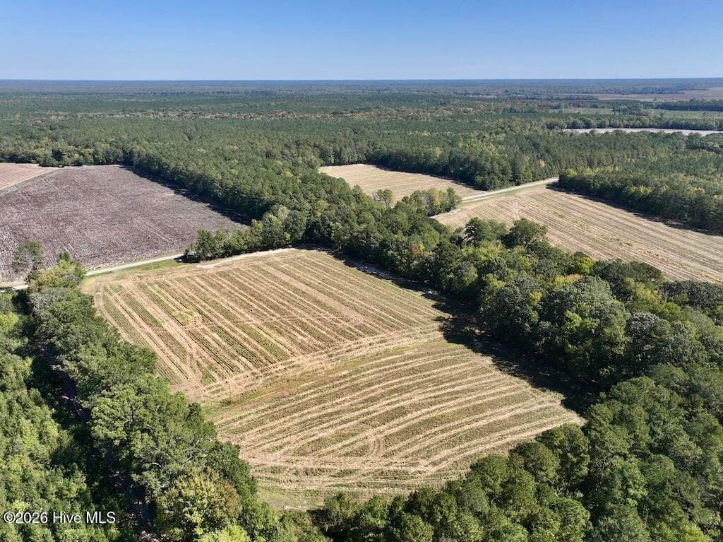 Mixed Use at 0 Spring Hill Road, Scotland Neck, NC 27874, photo 29 of 93