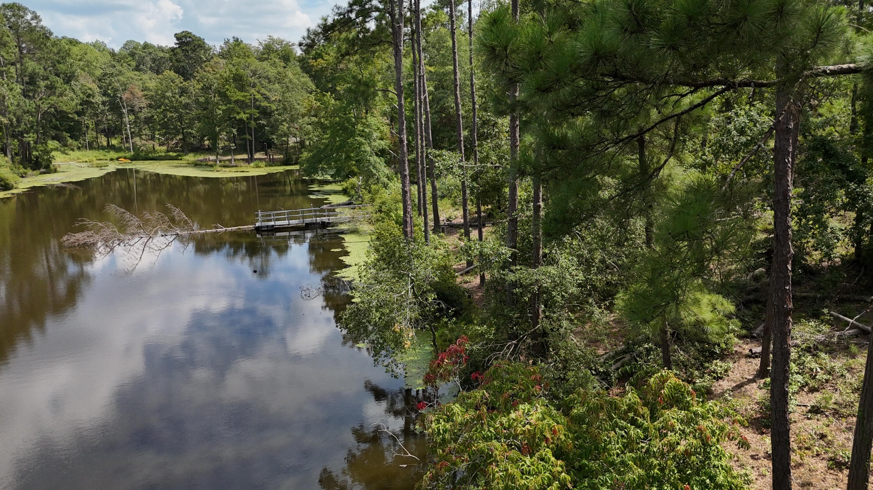 Residential Lot at 0 Hummingbird Drive, Trenton, SC 29847, photo 10 of 14