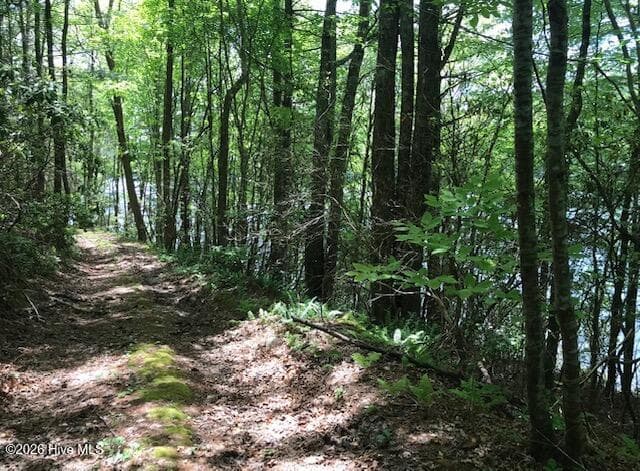 Residential Lot at 21 10 Rainwater Point, Topton, NC 28781, photo 2 of 9