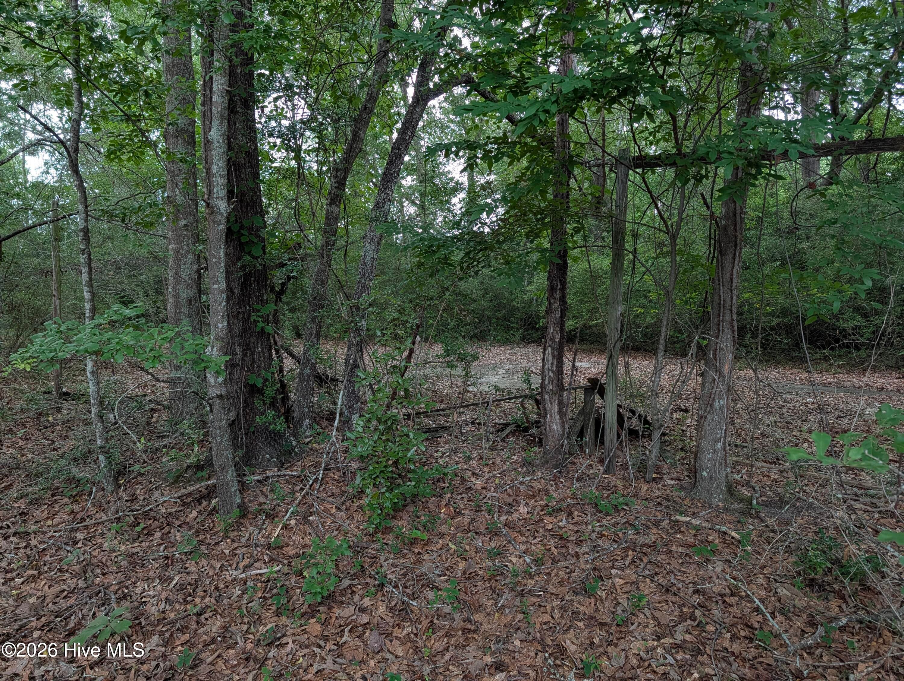 Residential Lot at 285 Garvin Drive, Wagener, SC 29164, photo 5 of 14
