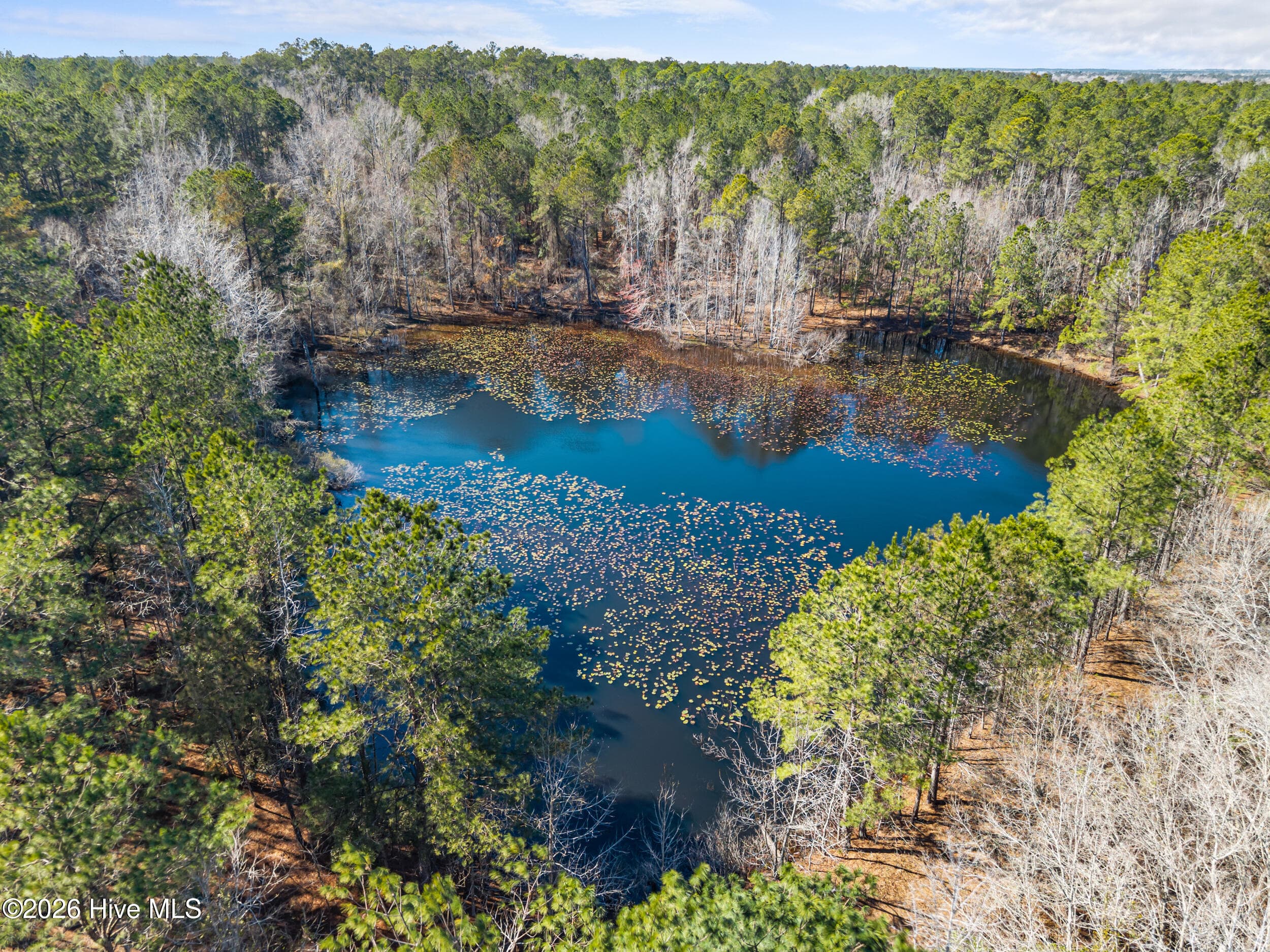 Undeveloped at 22701 Highway 129, Cobbtown, GA 30420, photo 6 of 10