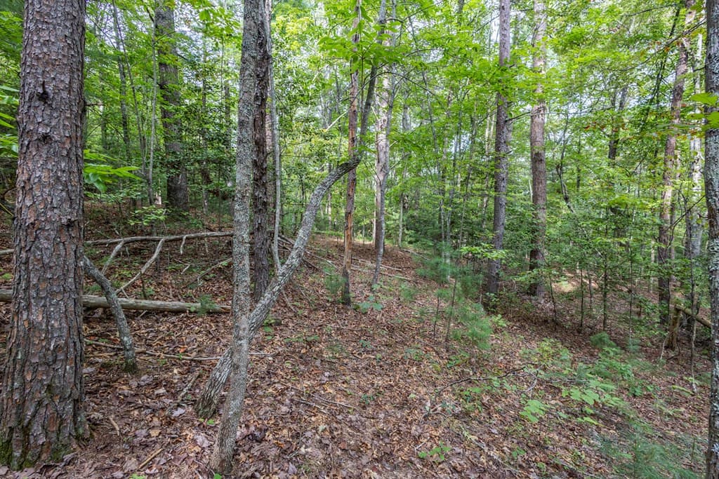 Residential Lot at 2 Ac 6 Horvath Road, Murphy, NC 28906, photo 5 of 12