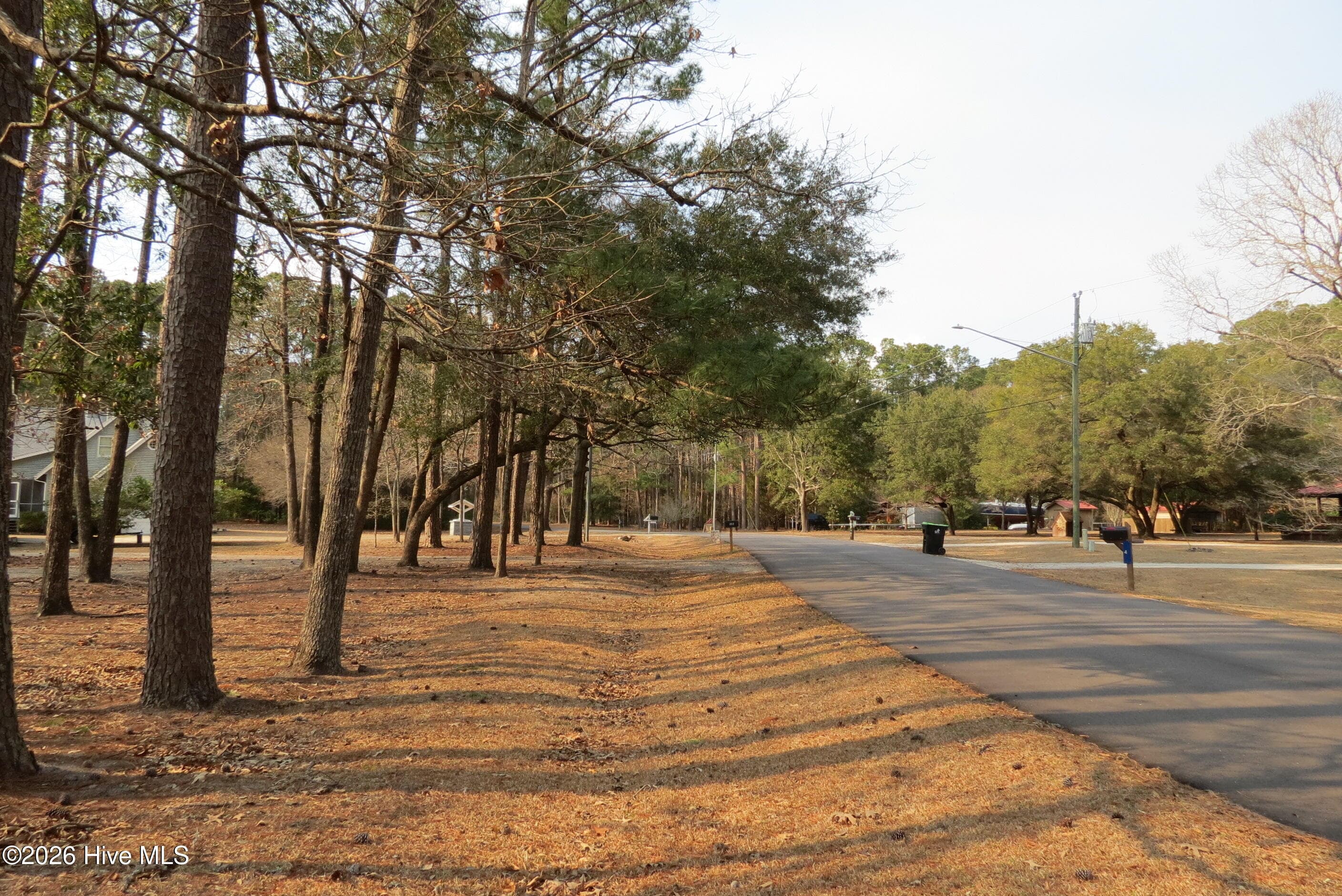 Roadside at residence - 135 Wilson Circle, Minnesott Beach, NC 28510