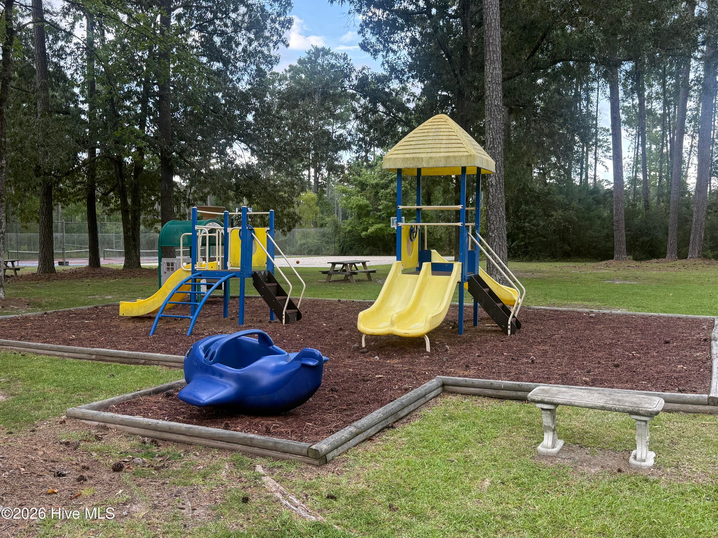 Cherry Branch communitynPlayground - 108 Borgo Court, Havelock, NC 28532