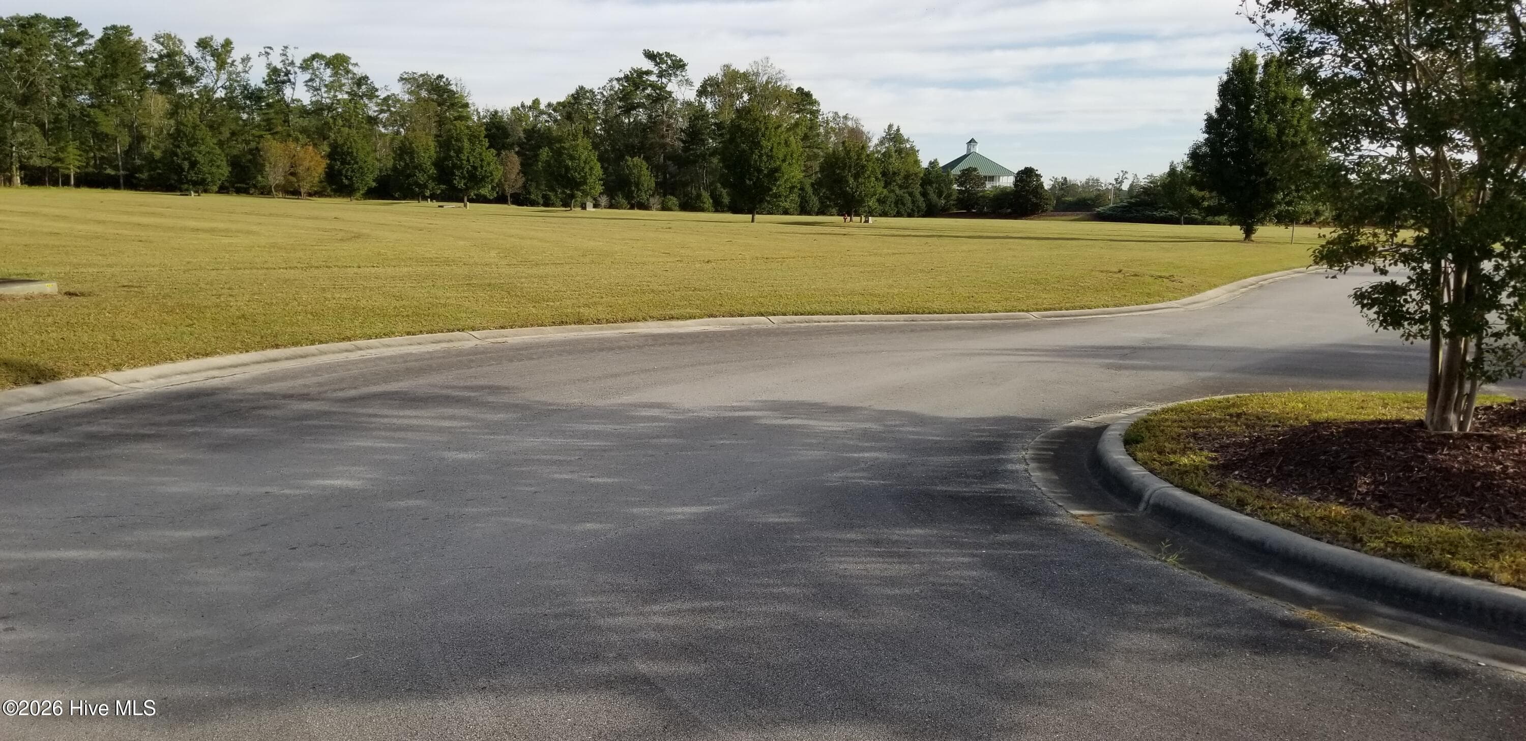 Residential Lot at 32 Josie Way, Arapahoe, NC 28510, photo 4 of 15