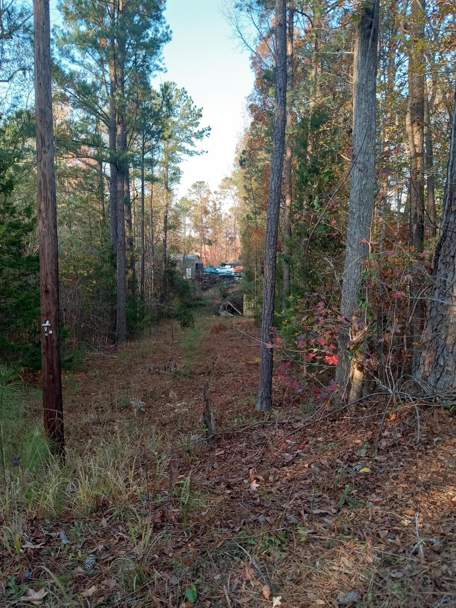 Residential Lot at 2722 Sc-23, Modoc, SC 29838, photo 49 of 62