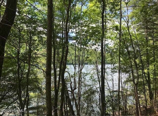 Residential Lot at 21 10 Rainwater Point, Topton, NC 28781, photo 5 of 9