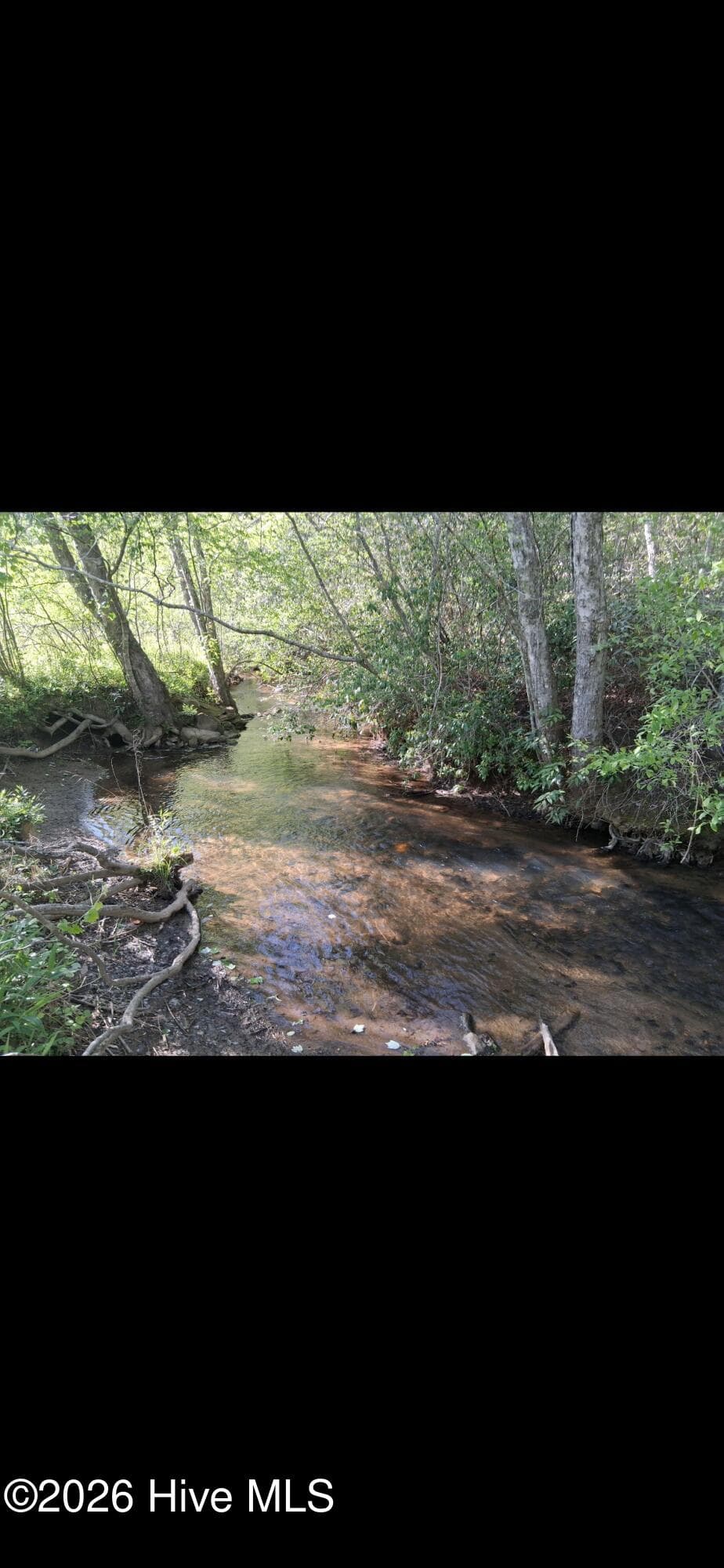 Undeveloped at 2231 Camp Creek Road, Murphy, NC 28906, photo 5 of 23