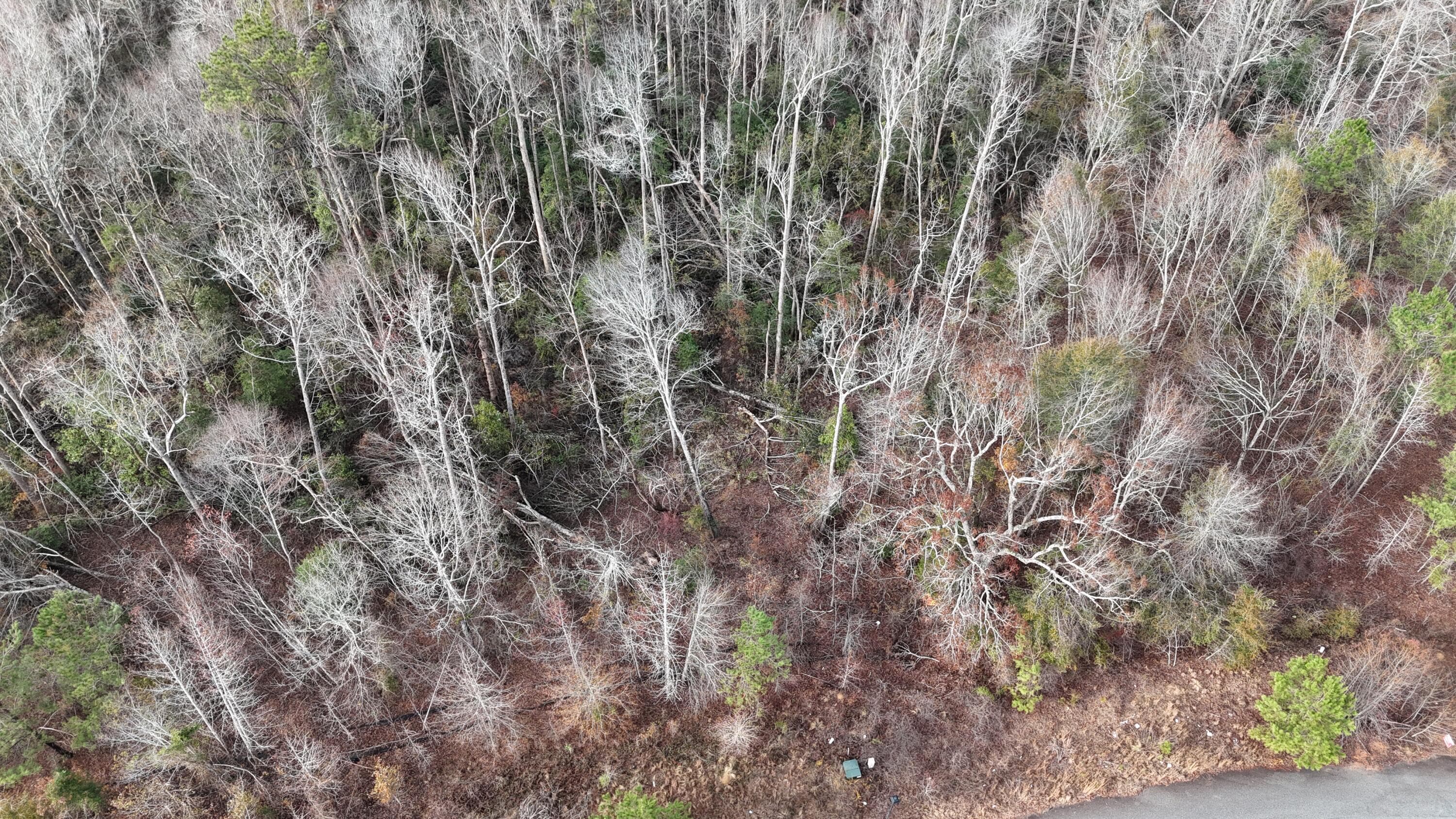 Residential Lot at 2664 New Hope Circle, Hephzibah, GA 30815, photo 7 of 8