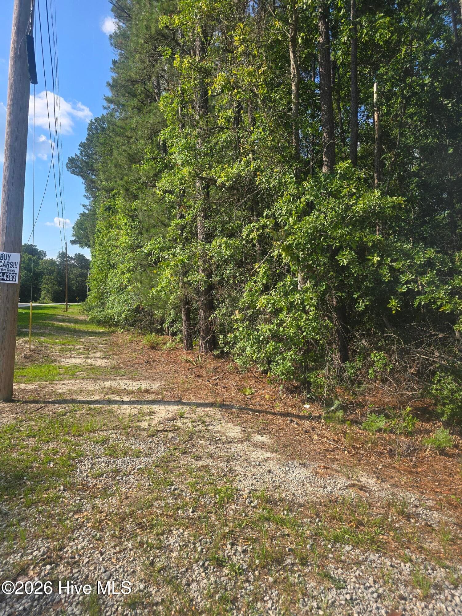 Wooded at 3454 Lewis Road, Augusta, GA 30909, photo 2 of 5