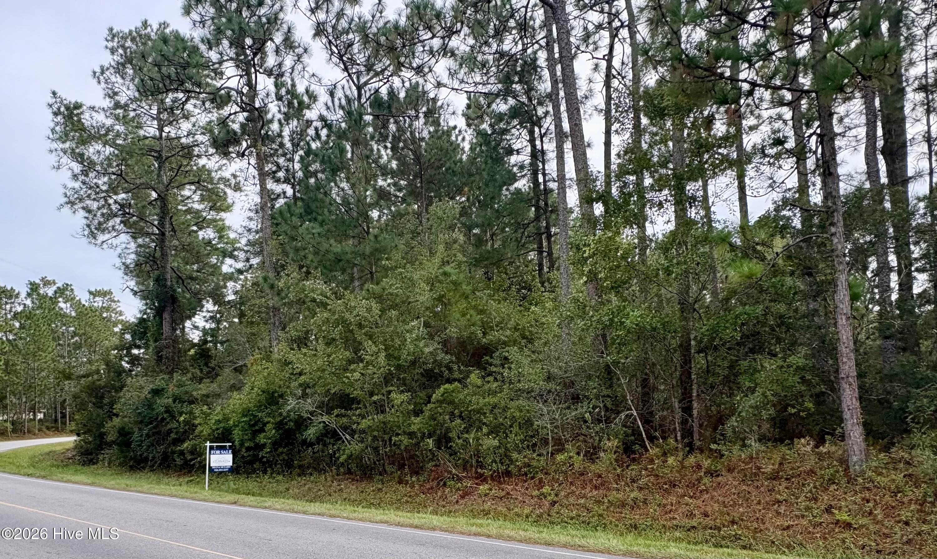 Wooded at L-80/81 80/81 Nassau Road, Boiling Spring Lakes, NC 28461, photo 3 of 11