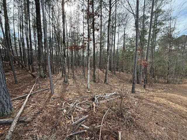 Residential Lot at 14-33 Kristen Lane, McCormick, SC 29835, photo 4 of 5