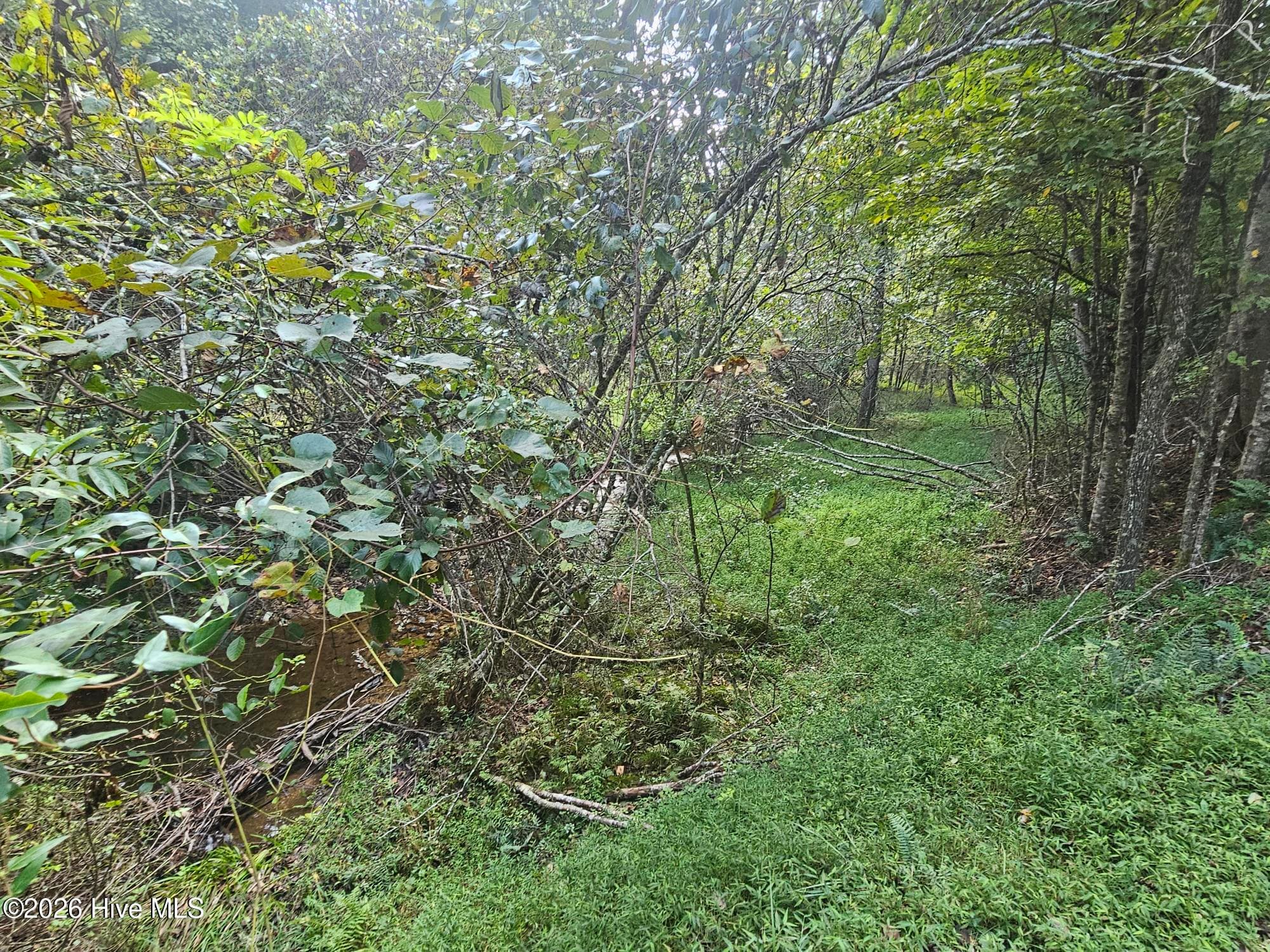 Residential Lot at 0 Wildcat Drive, Murphy, NC 28906, photo 8 of 11