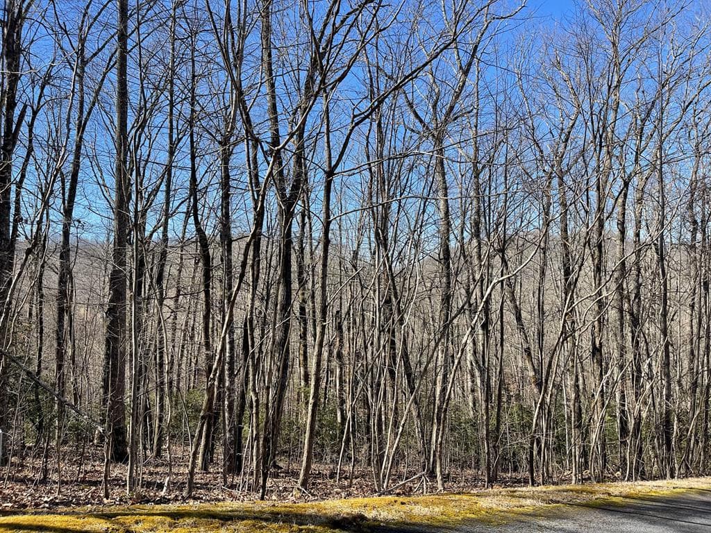 Lot 34j 34J Ash Branch Road, Hayesville, NC 28904