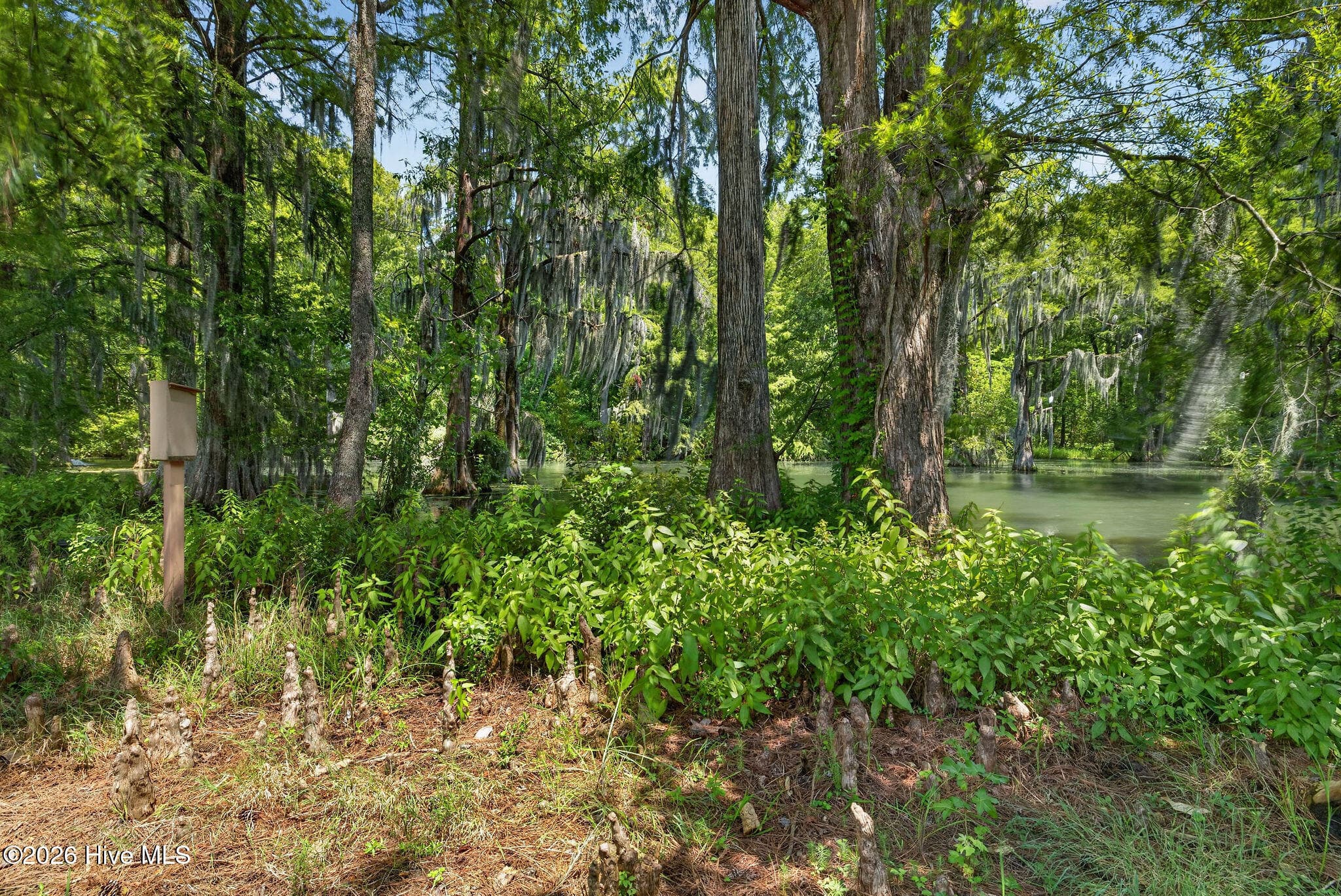 Single Family Residence at 265 Iris Way, Hampstead, NC 28443, photo 66 of 96