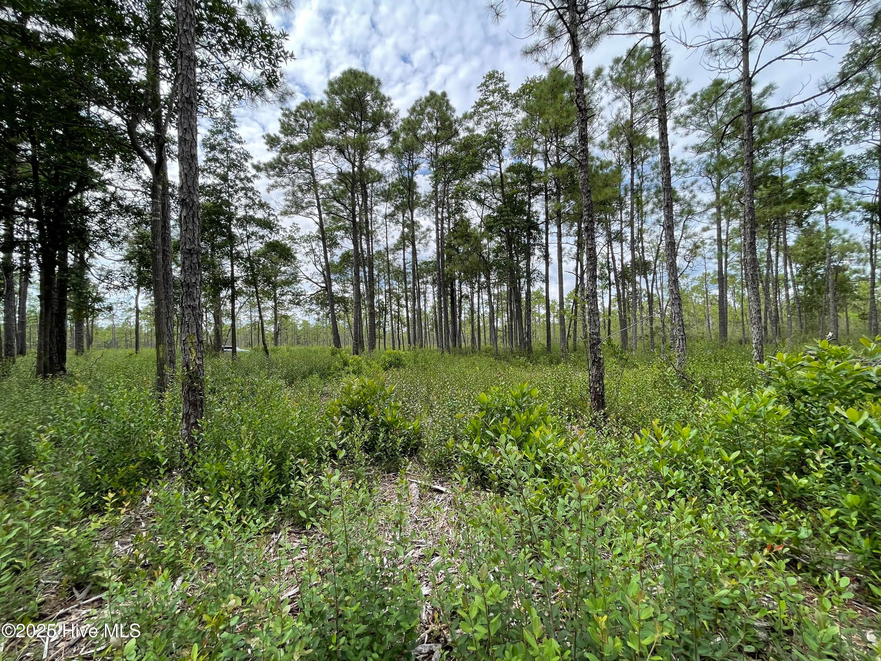 Residential Lot at 811 Brittany Road, Southport, NC 28461, photo 22 of 25