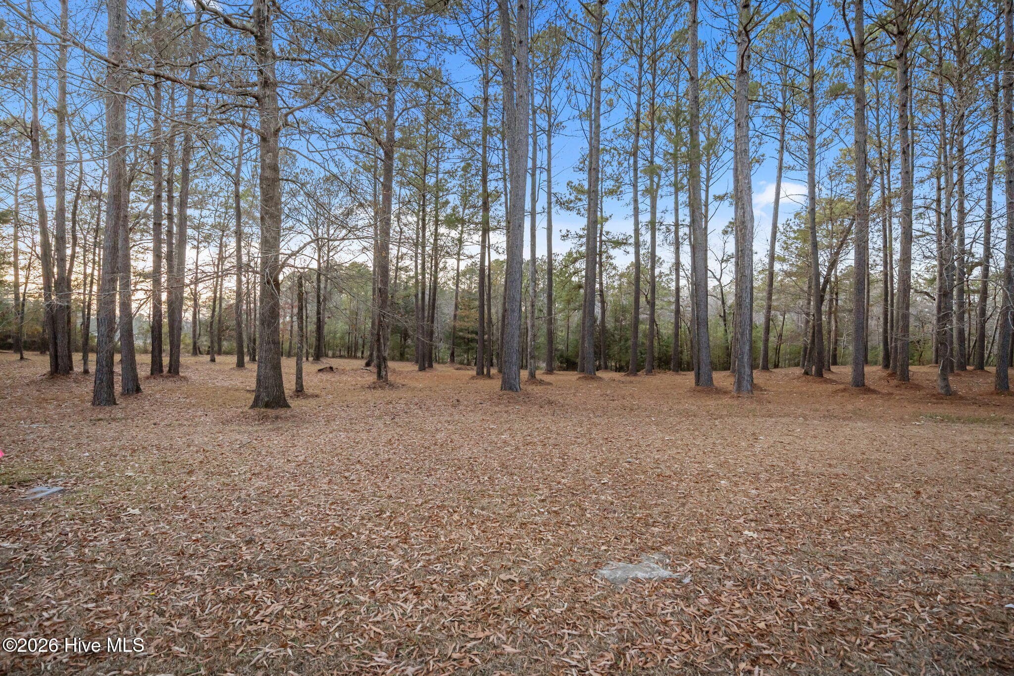 Residential Lot at 850 213 Southern Plantation Drive N, Oriental, NC 28571, photo 7 of 23