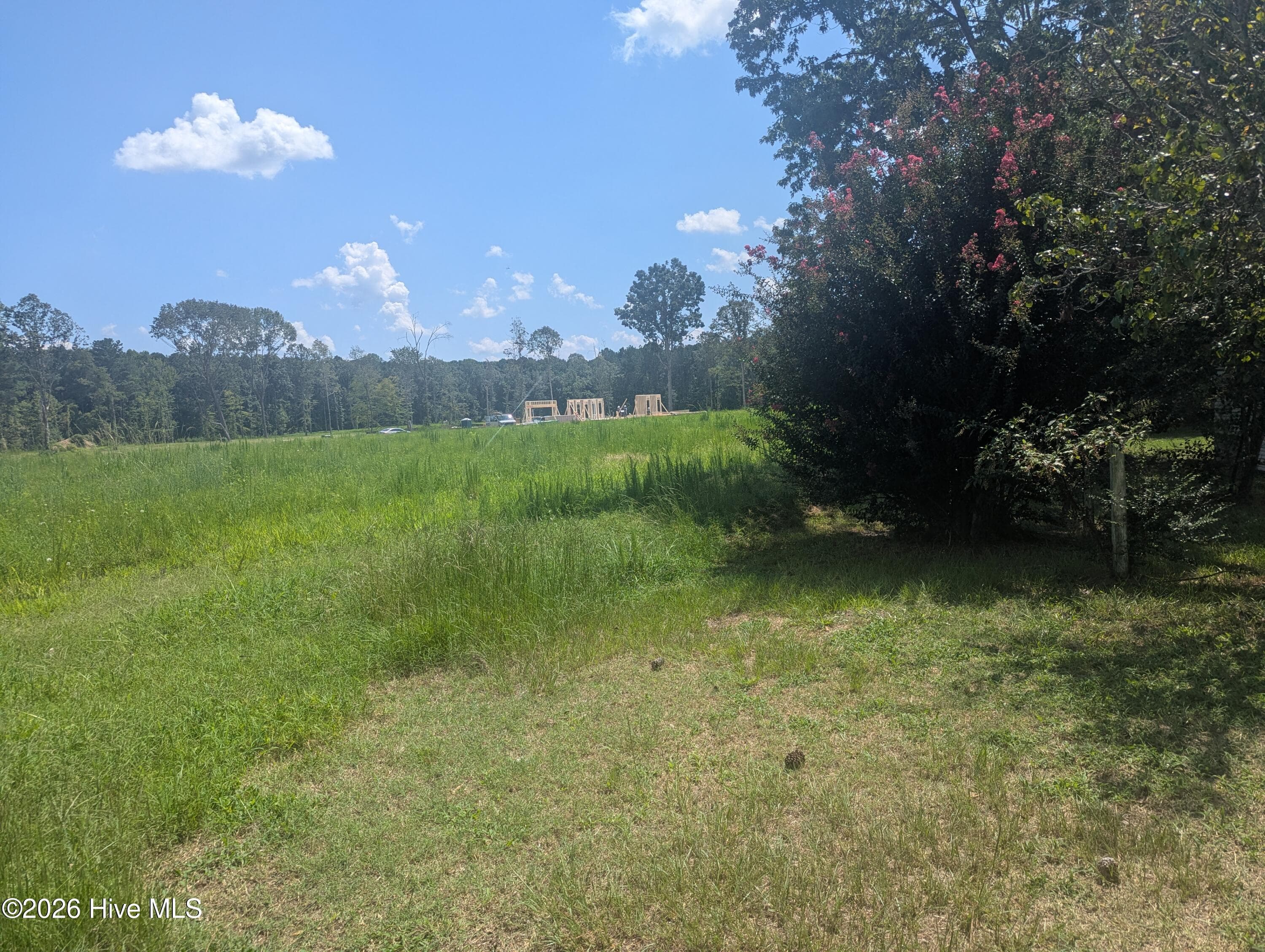 Single Family Residence at 720 Old Moore Road, Selma, NC 27576, photo 13 of 17