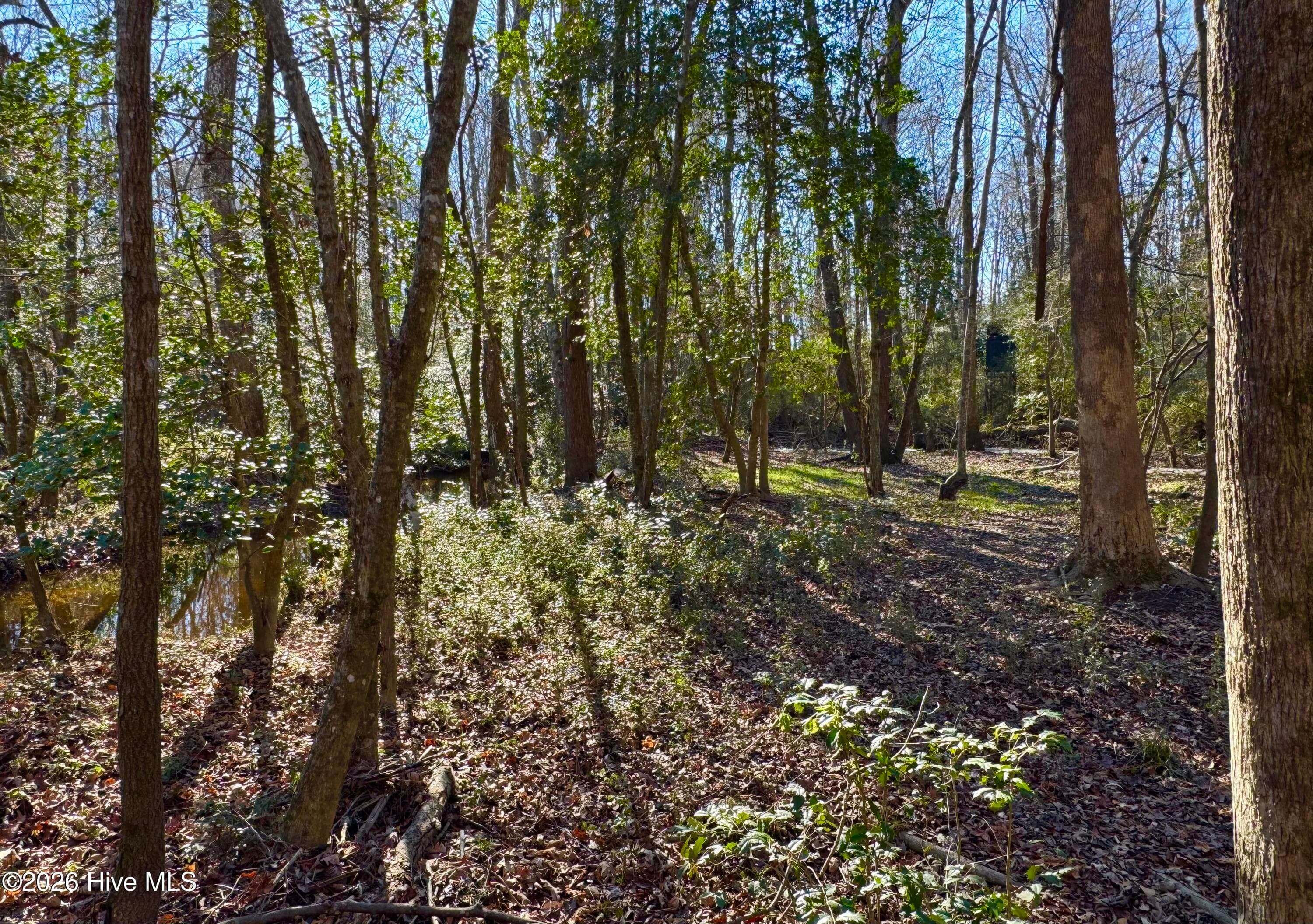 Wooded at 0 Fred Circle S, Kenly, NC 27542, photo 4 of 21
