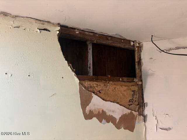 hole in roof in upstairs bonus area - 410 E 2nd Street, Princeton, NC 27569