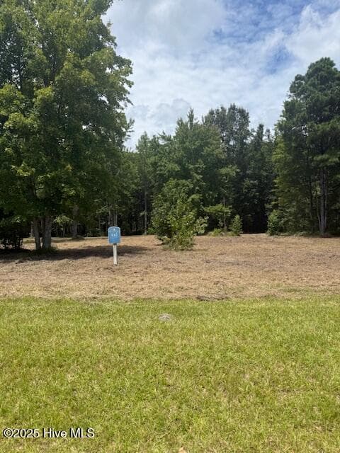 Residential Land at 175 143 Colleton Circle, Edenton, NC 27932, photo 4 of 13