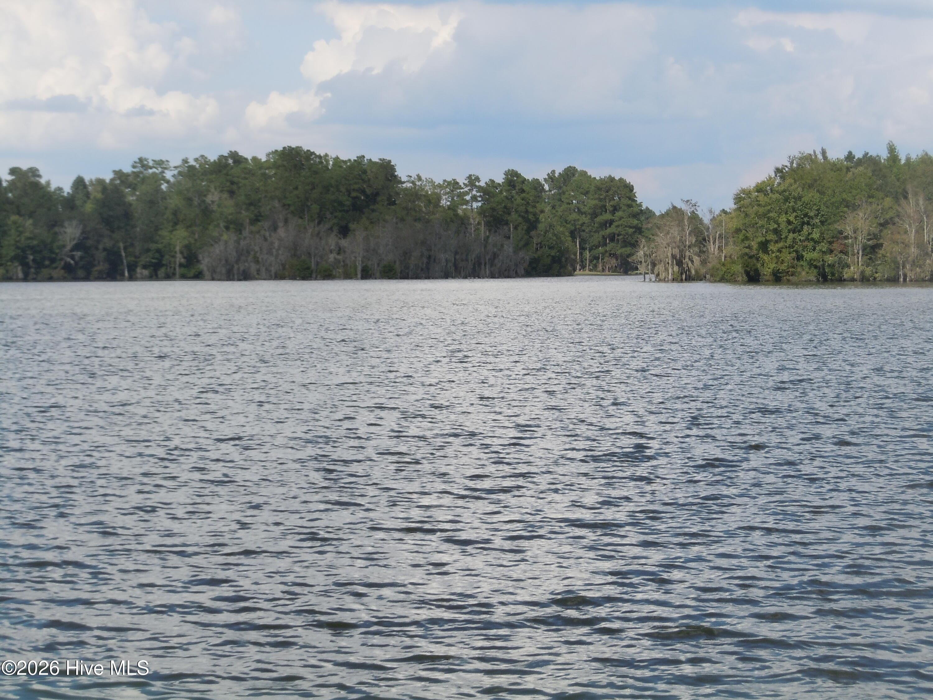 Beautiful Lake Tabor at public landing - 31 Near 57 Lake Tabor Drive, Tabor City, NC 28463