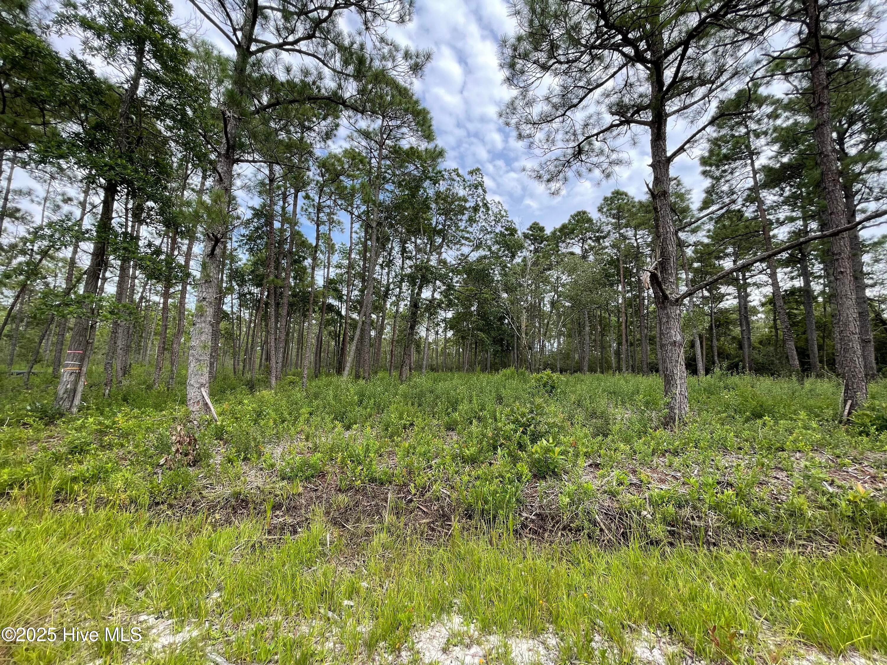 Residential Lot at 811 Brittany Road, Southport, NC 28461, photo 4 of 25