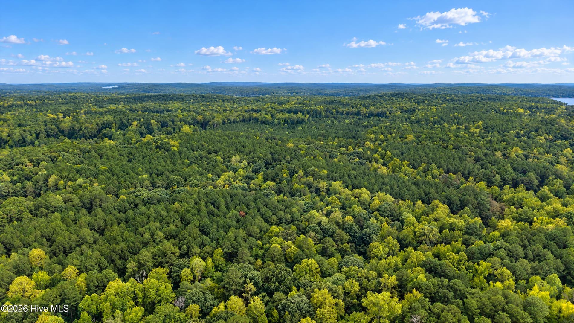 Undeveloped at Off 5 J B Morgan Road, Apex, NC 27502, photo 11 of 21