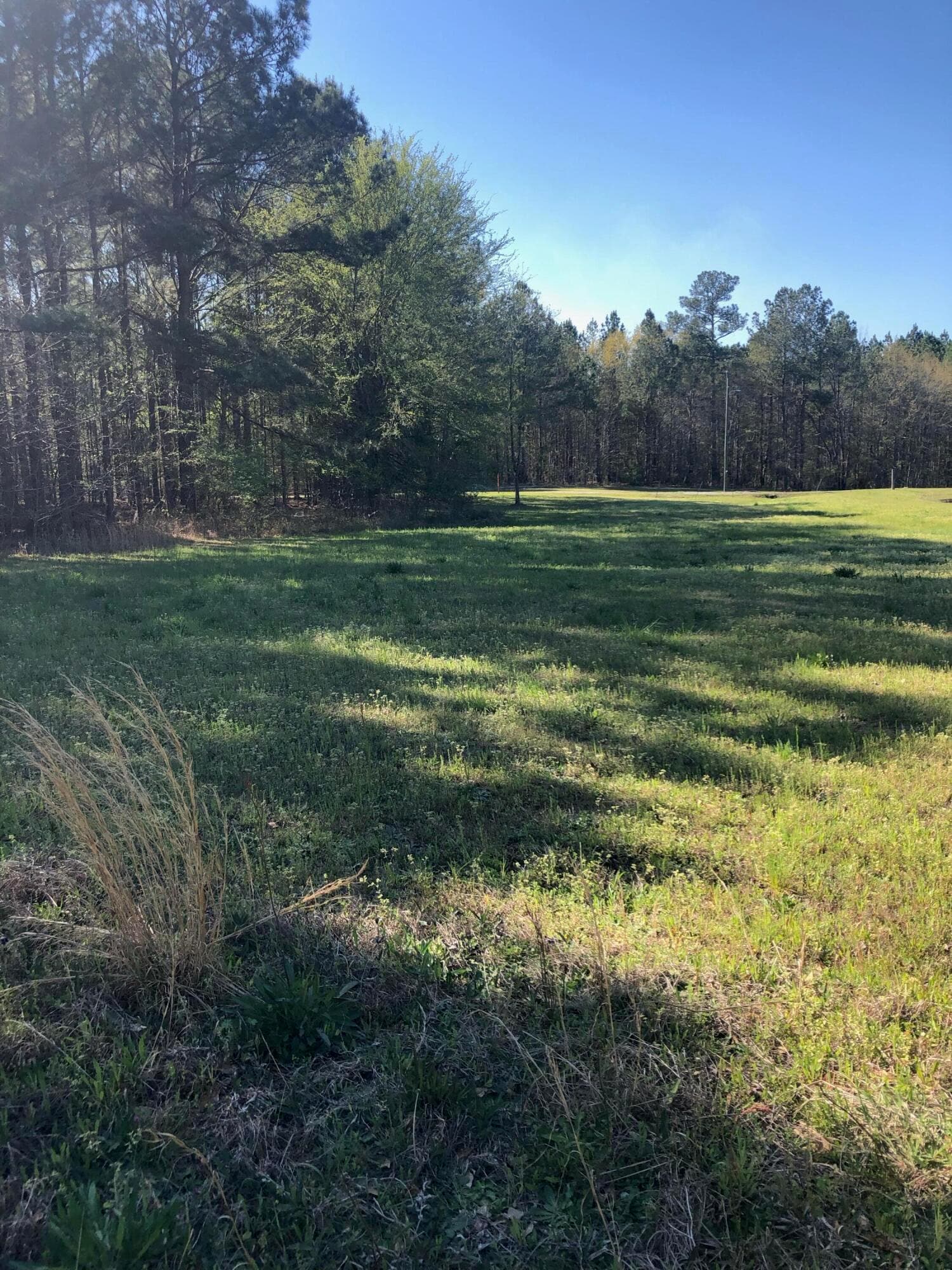 back of property - beautiful for home site - 4.17 Acres Starr Hinson Road, Thomson, GA 30824