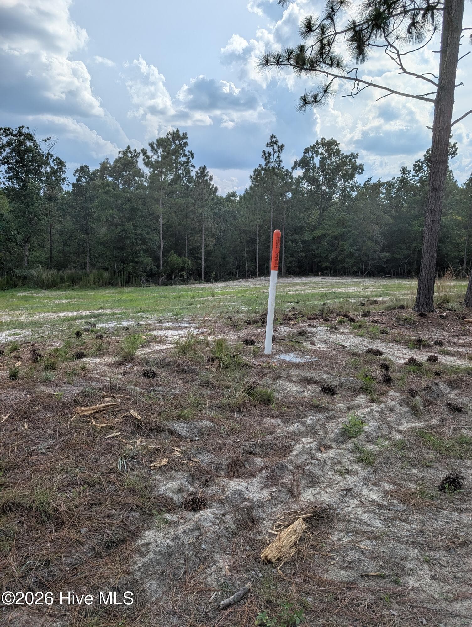 Residential Lot at 270 1-R Charles Road, Eagle Springs, NC 27242, photo 3 of 13