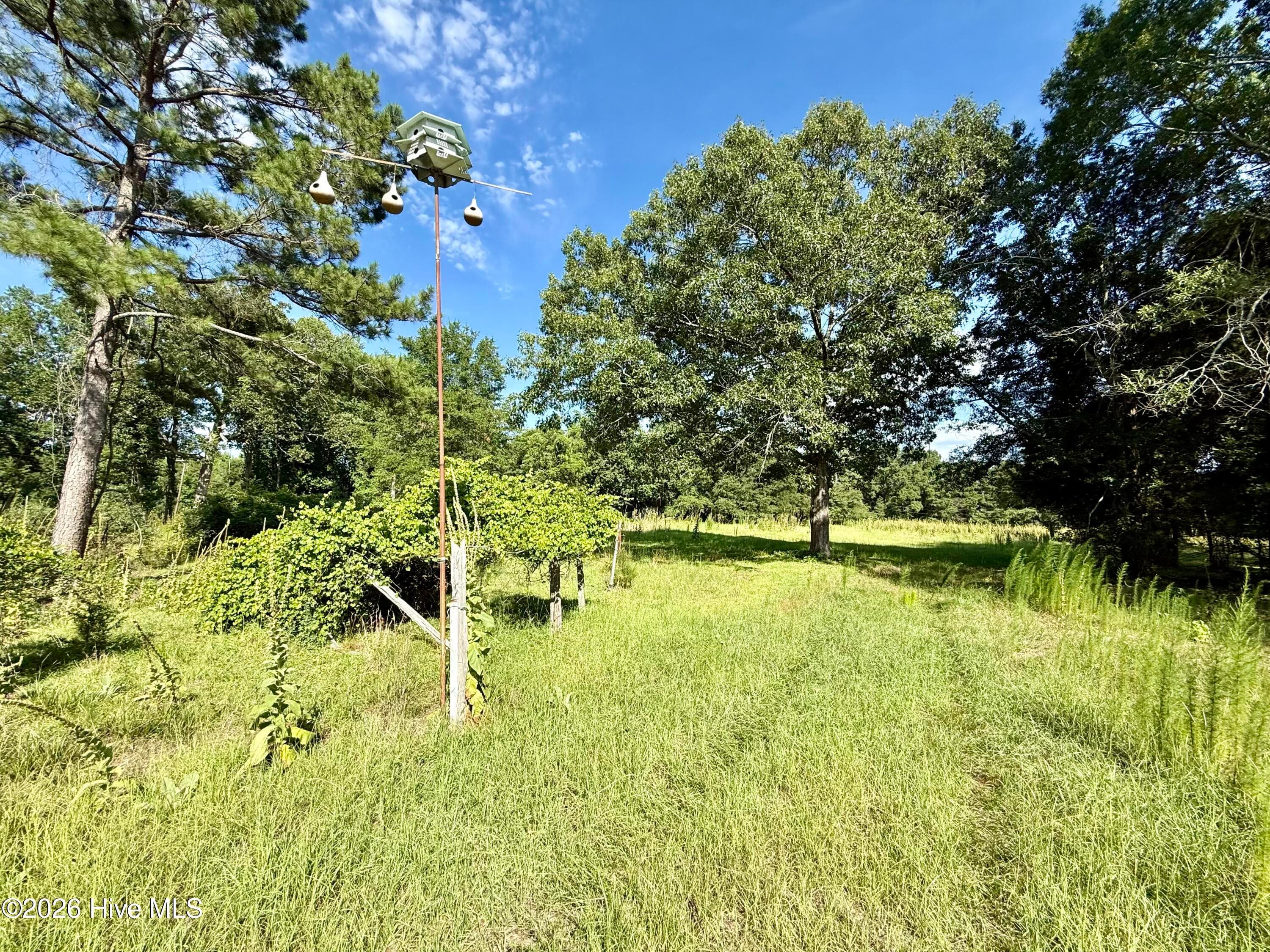 Undeveloped at Tbd Roberdel School Road, Rockingham, NC 28379, photo 19 of 41