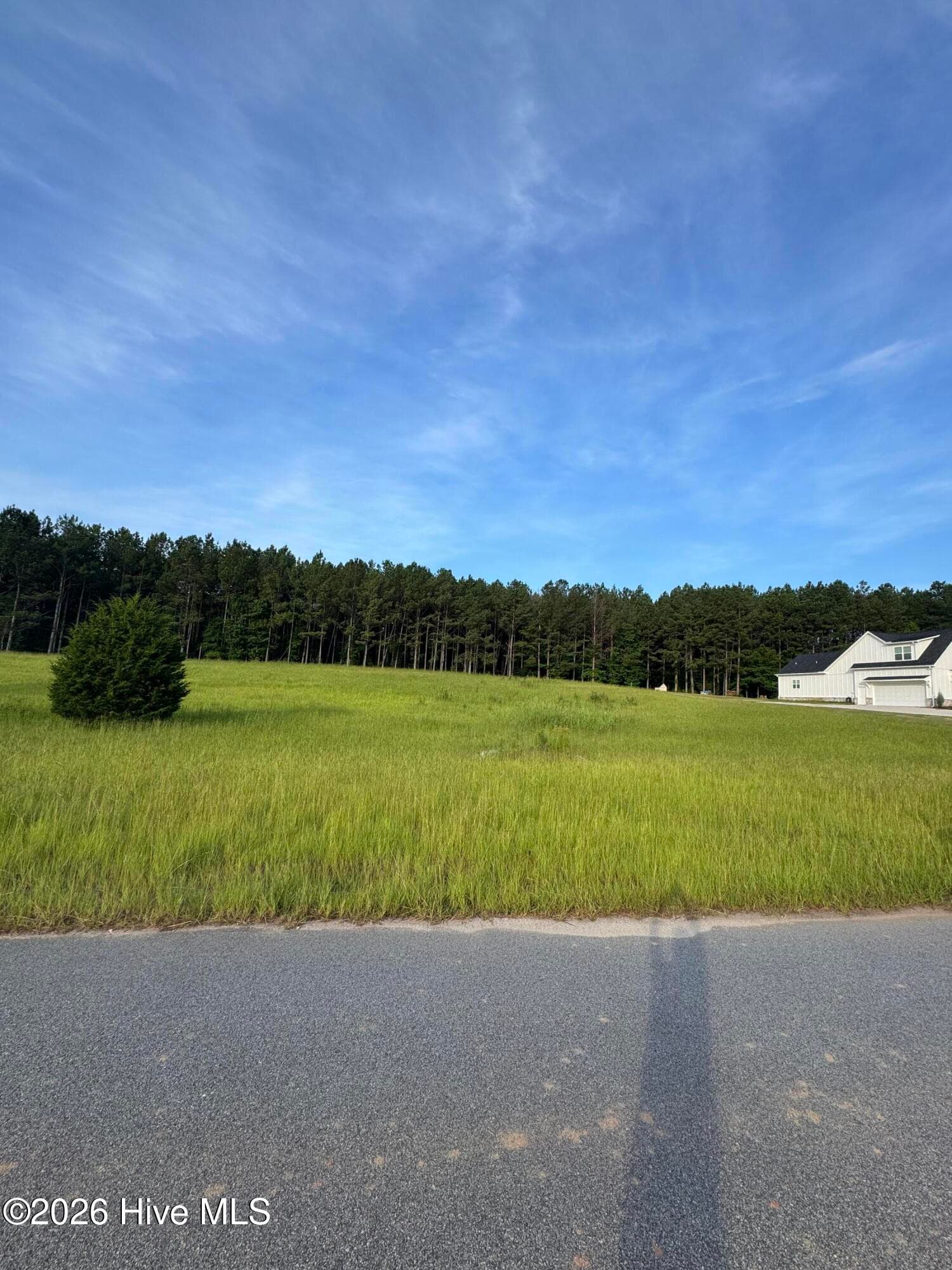 Residential Lot at 415 Arthur Grimaud Way, Appling, GA 30802, photo 3 of 3