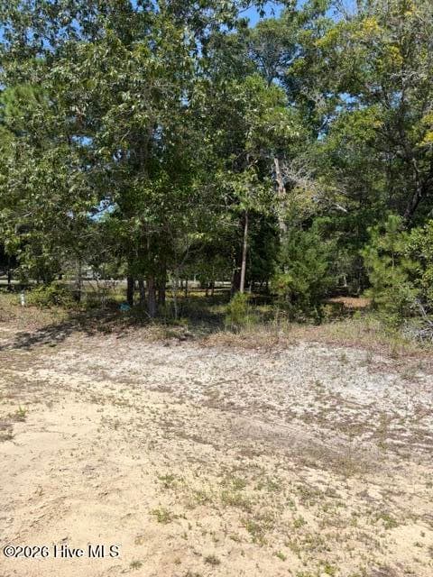 Residential Lot at 3374 469 Sandridge Lane SW, Supply, NC 28462, photo 6 of 16