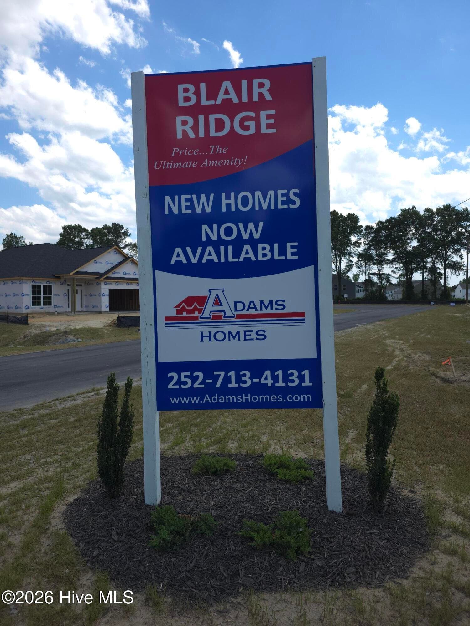 Blair Ridge, Adams Homes - 506 S Carey Street Lot 61, La Grange, NC 28551