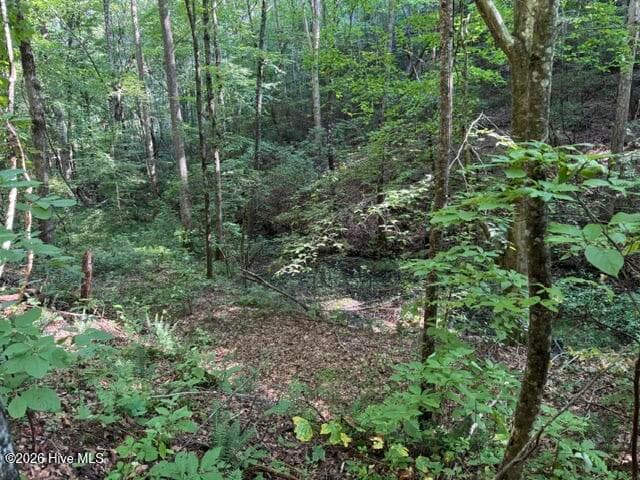 Residential Lot at 5 Tyler Lane, Marble, NC 28905, photo 26 of 28