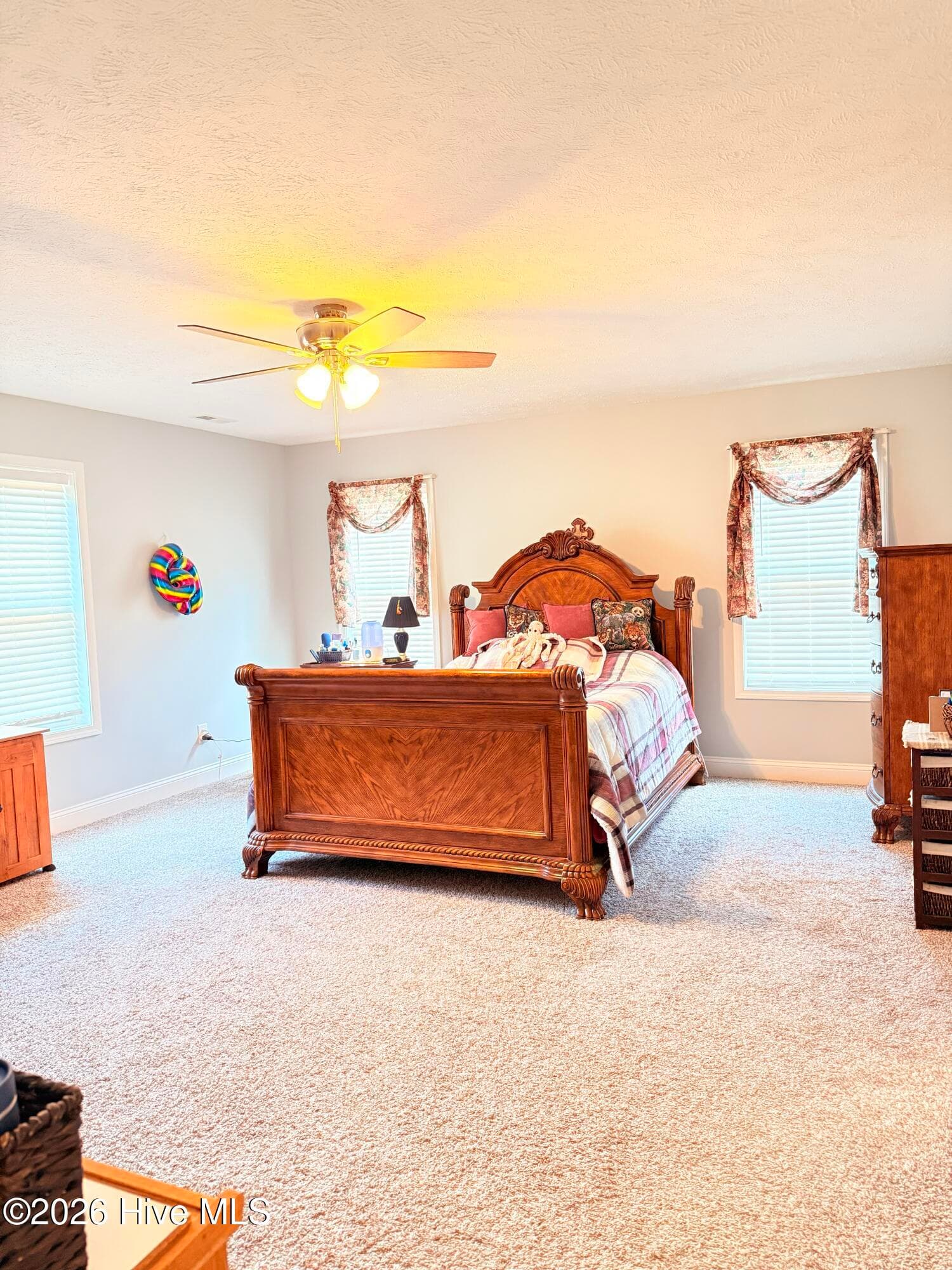 Single Family Residence at 137 Manley Road, Carthage, NC 28327, photo 28 of 64
