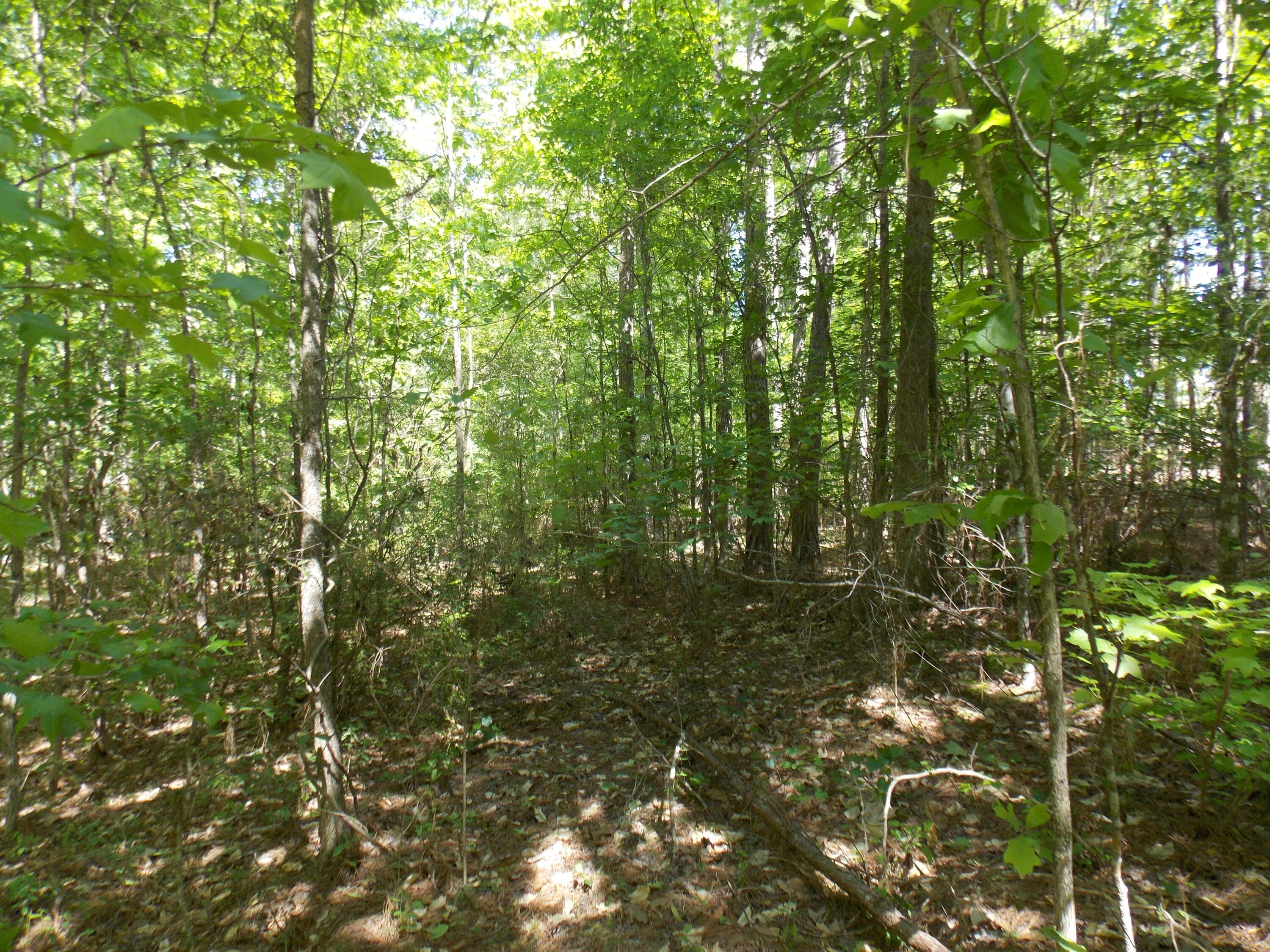 Residential Lot at 12 12 Doe Run, Lincolnton, GA 30817, photo 2 of 3