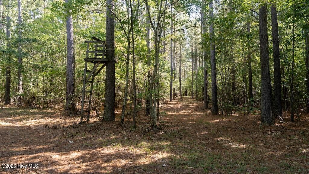 Mixed Use at 0 Spring Hill Road, Scotland Neck, NC 27874, photo 13 of 93