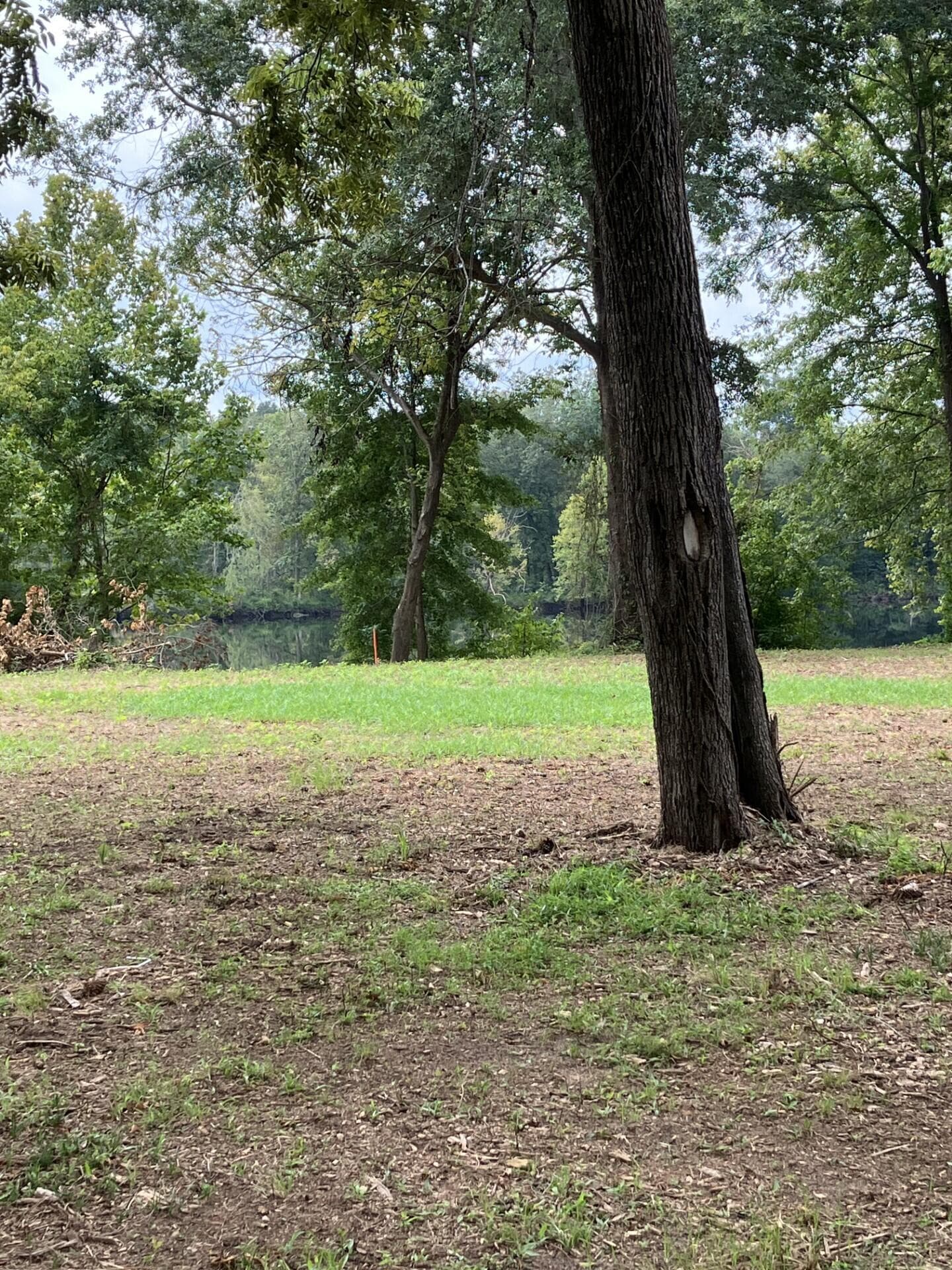 Residential Lot at 165 River Bend Drive, Clarks Hill, SC 29821, photo 6 of 12