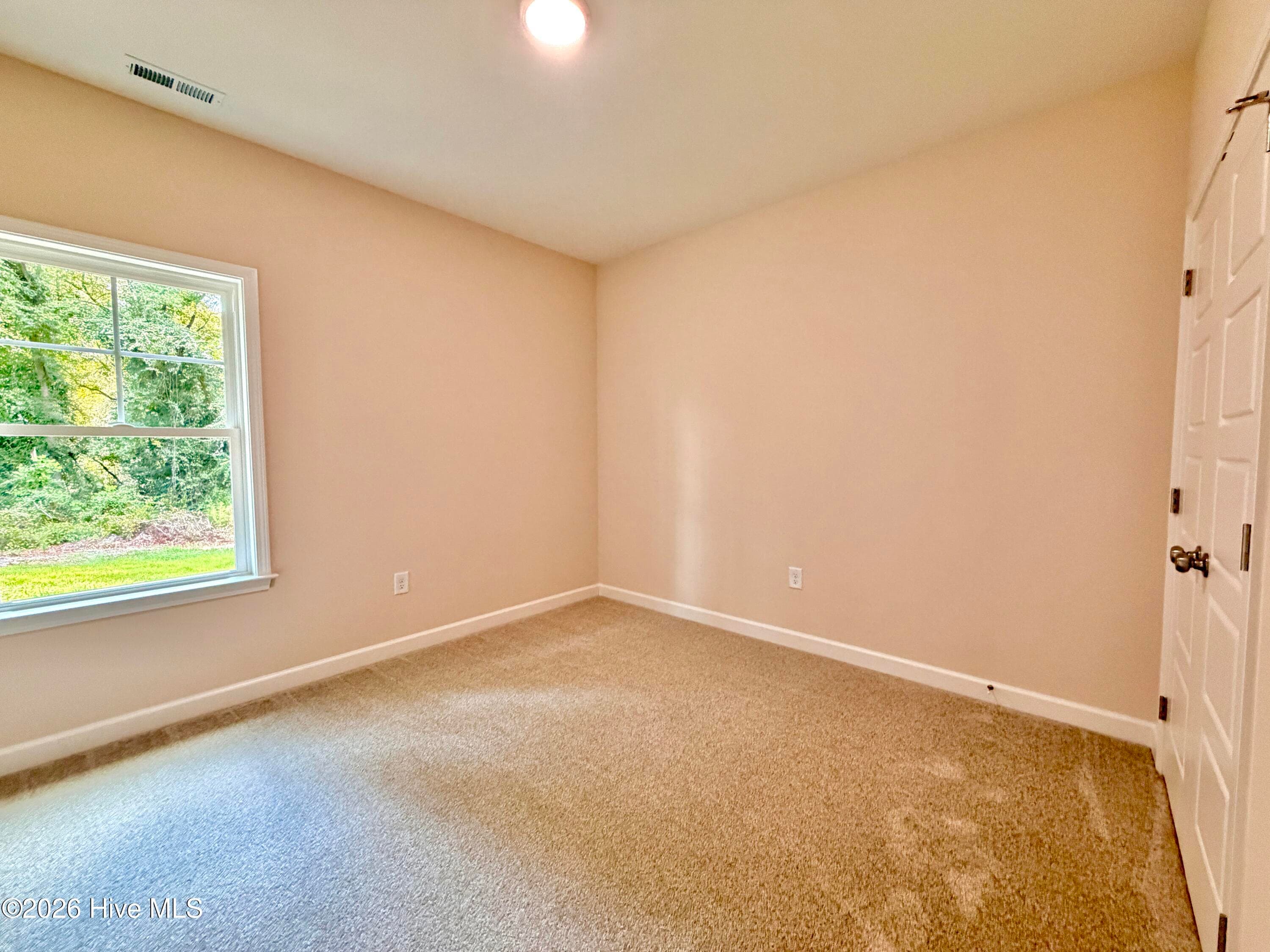 Single Family Residence at 1730 Walnut Run Drive, Deep Run, NC 28525, photo 126 of 156