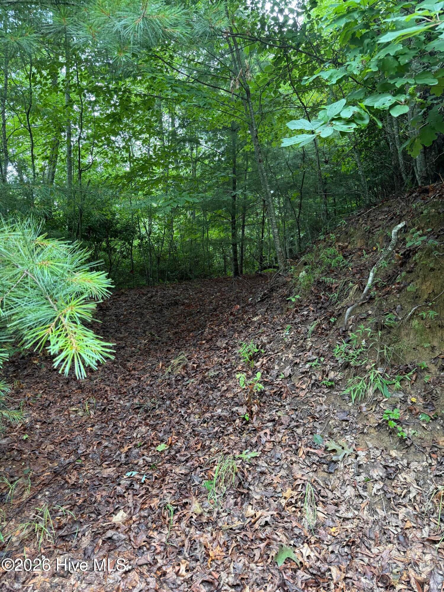 Residential Lot at Lot 14 14 Mountain Vista Lane, Topton, NC 28781, photo 3 of 8