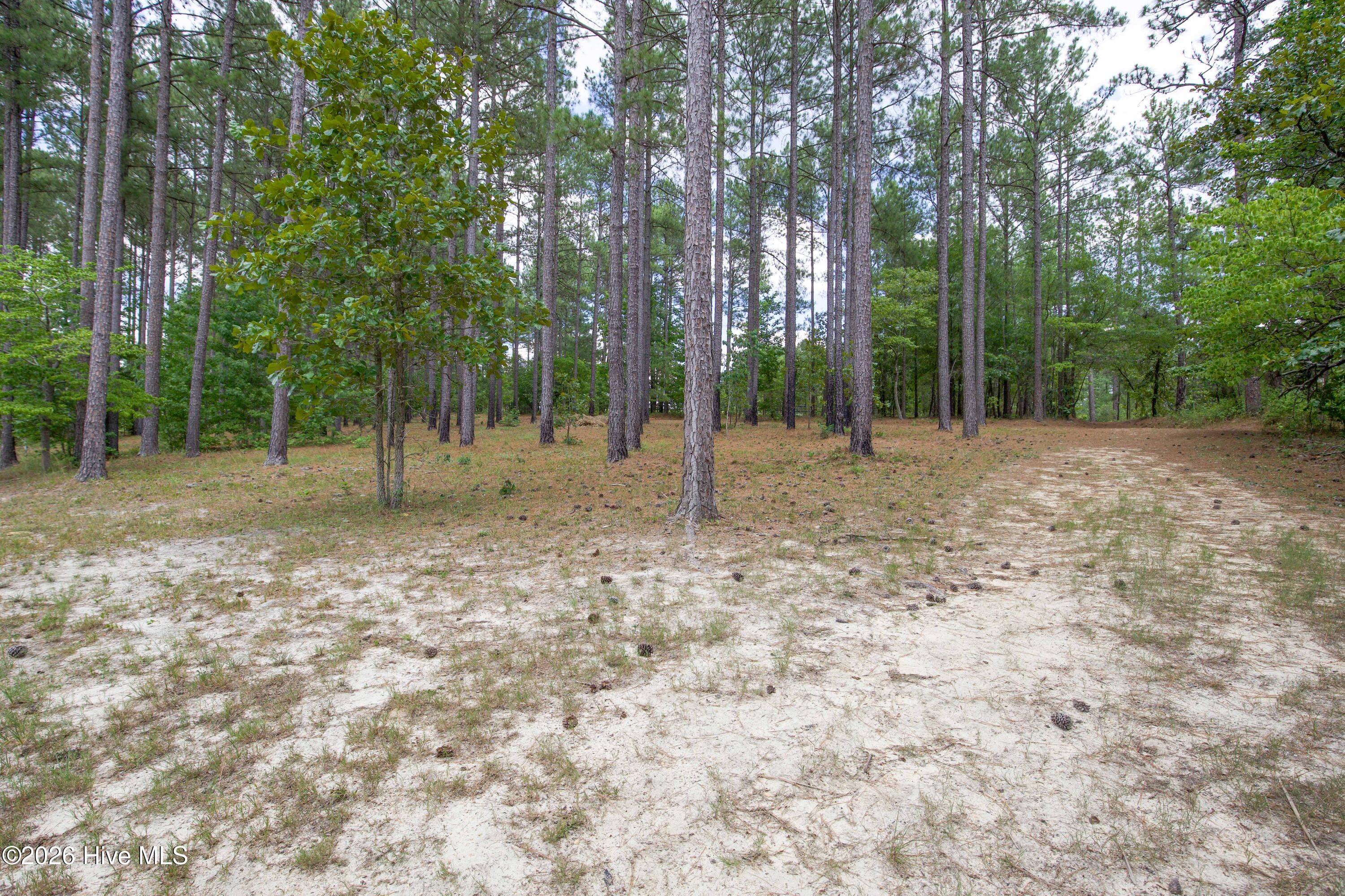Horse Farm at 220 44B Justin Way, Foxfire Village, NC 27281, photo 64 of 69