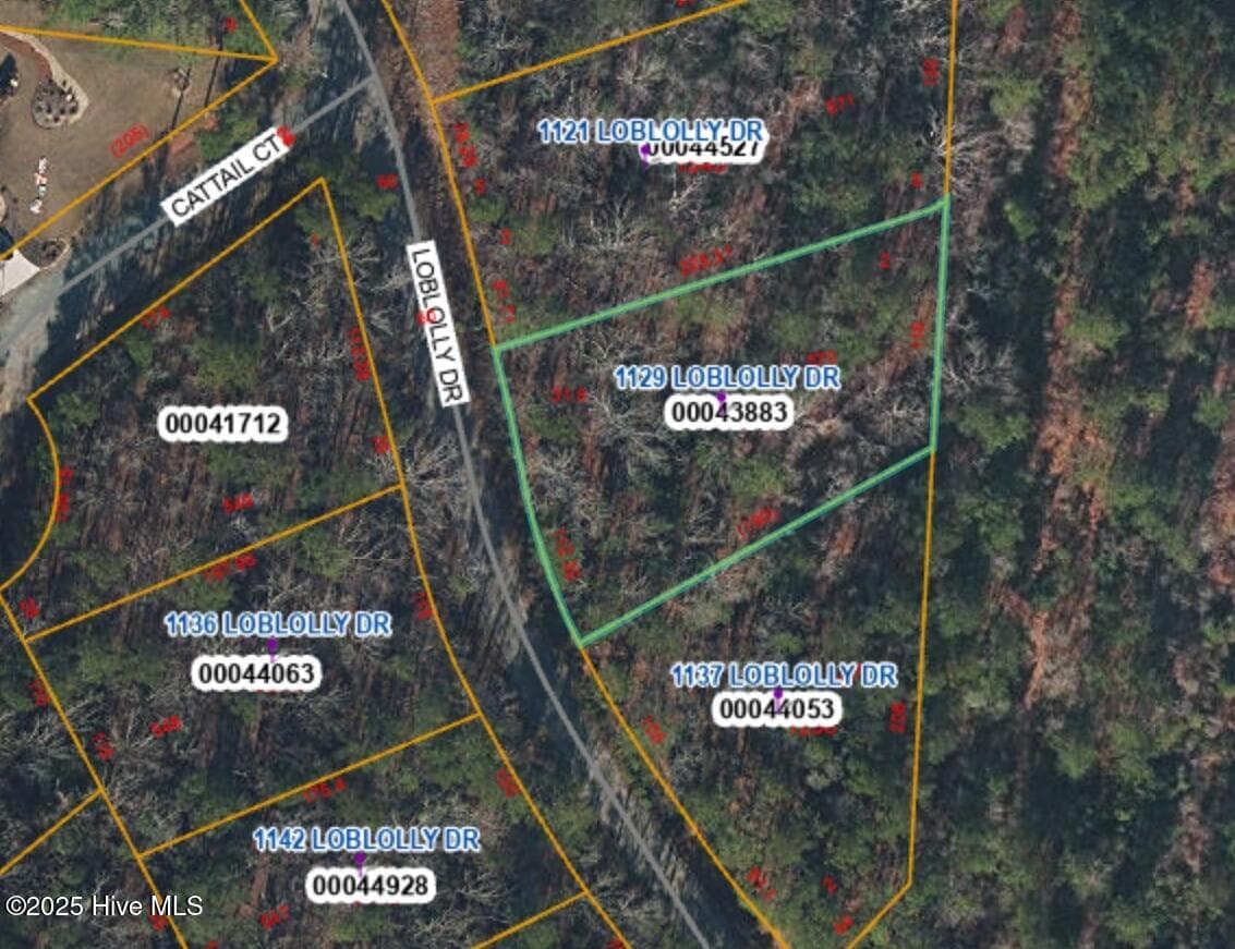 1129 Loblolly Drive, Vass, NC 28394