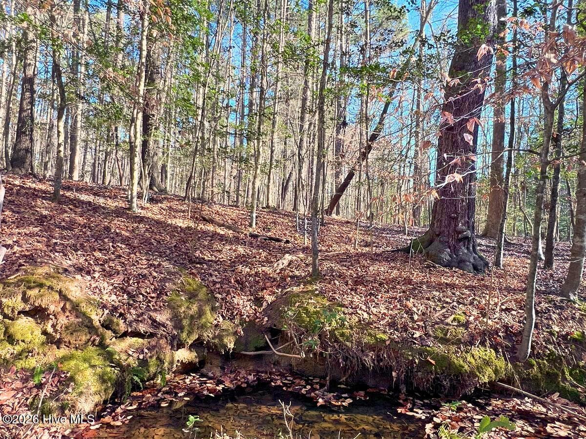 Residential Land at 0 Nc 98 Highway, Spring Hope, NC 27882, photo 31 of 39