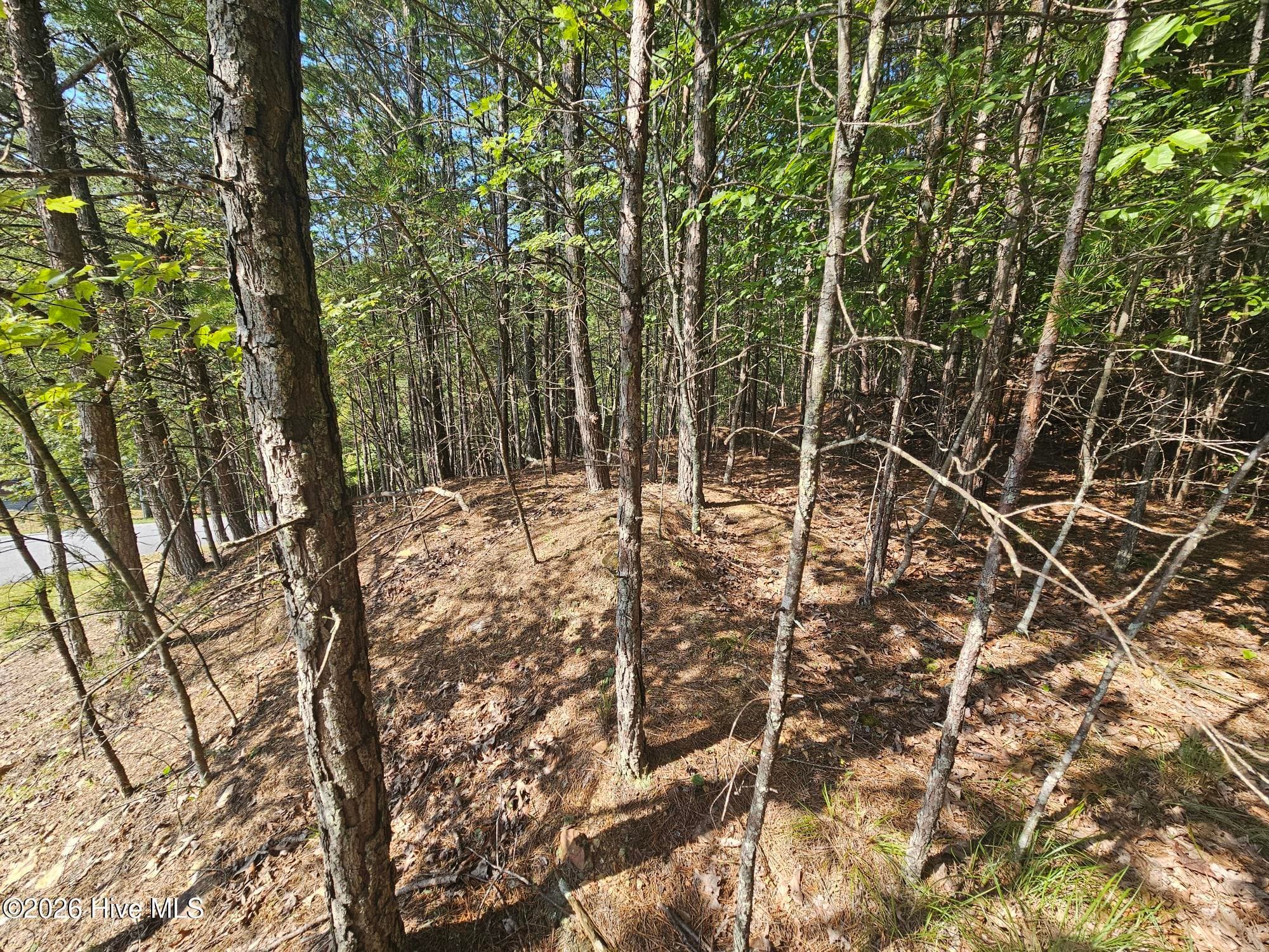 Residential Lot at Lot 76 Wildcat Drive, Murphy, NC 28906, photo 3 of 11