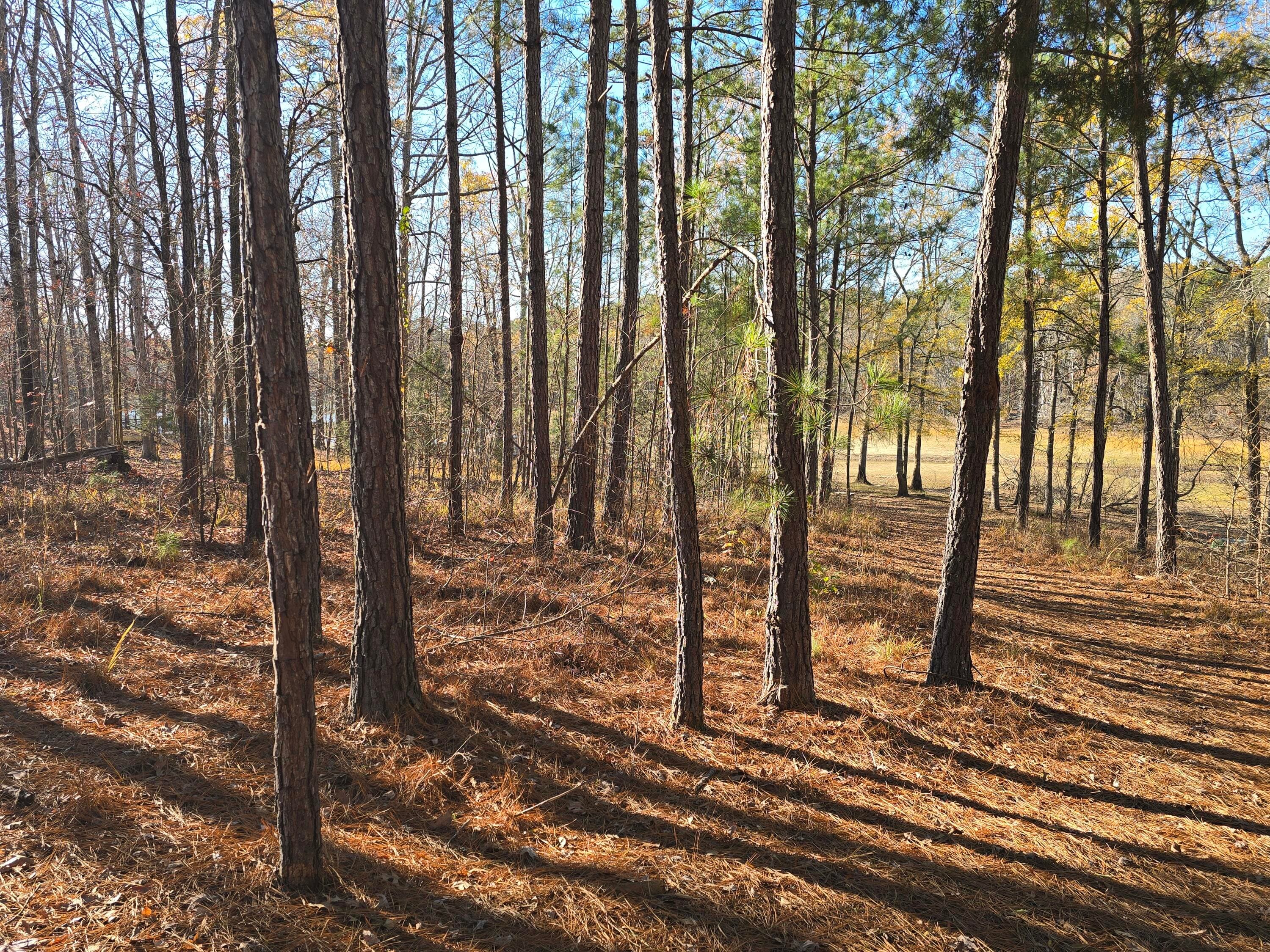 Residential Lot at 1102 Dogwood Drive, Lincolnton, GA 30817, photo 24 of 46