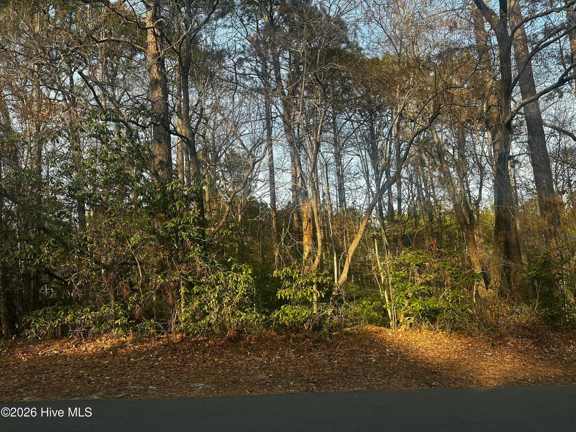 Residential Lot at 275 Canter Lane, Pinehurst, NC 28374, photo 4 of 4
