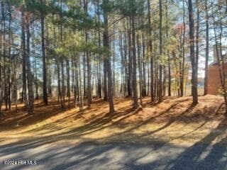 Wooded at 847 4565 Seagull Drive, Vass, NC 28394, photo 4 of 7