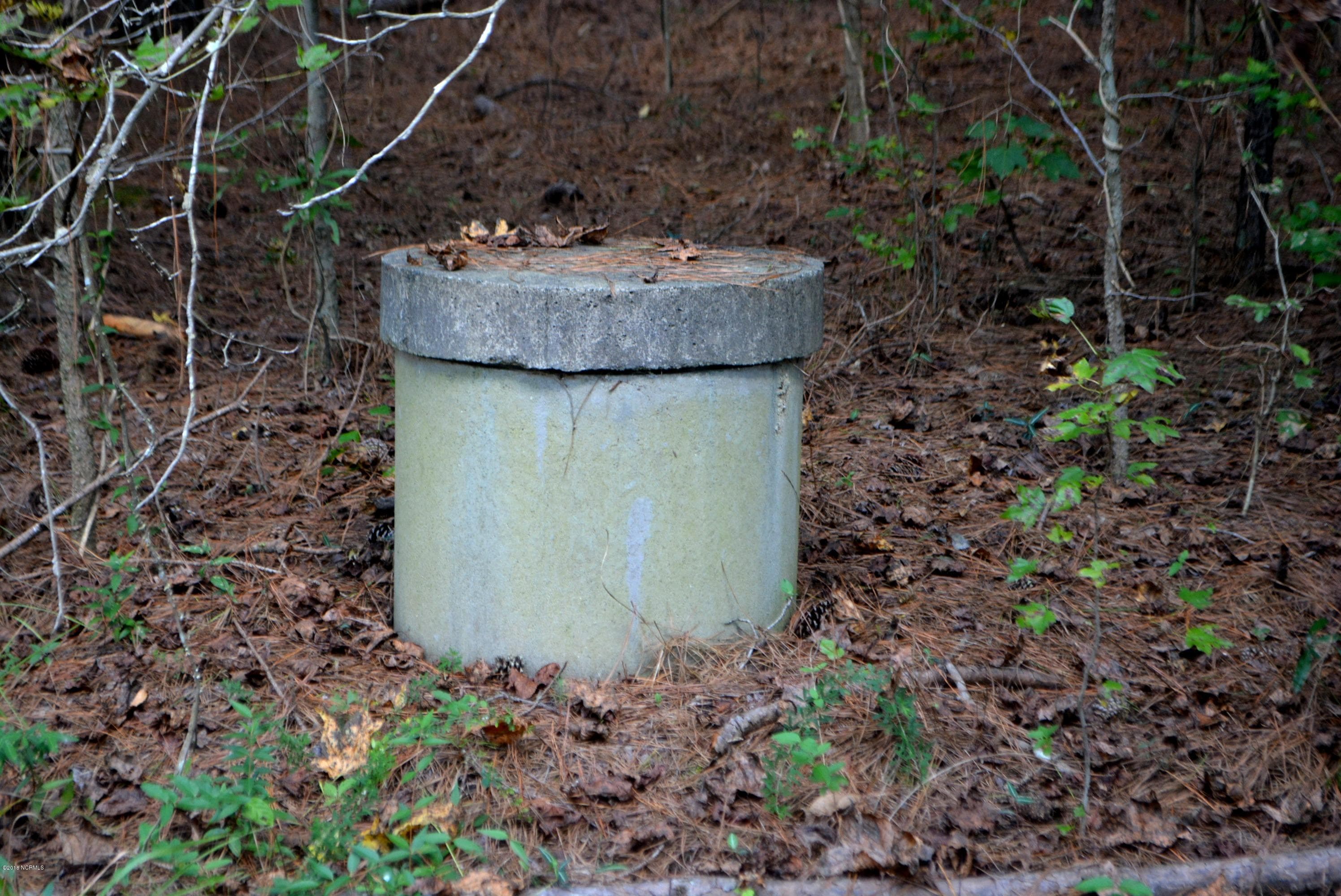 Undeveloped at 5570 Lancaster Store Road, Spring Hope, NC 27882, photo 9 of 10